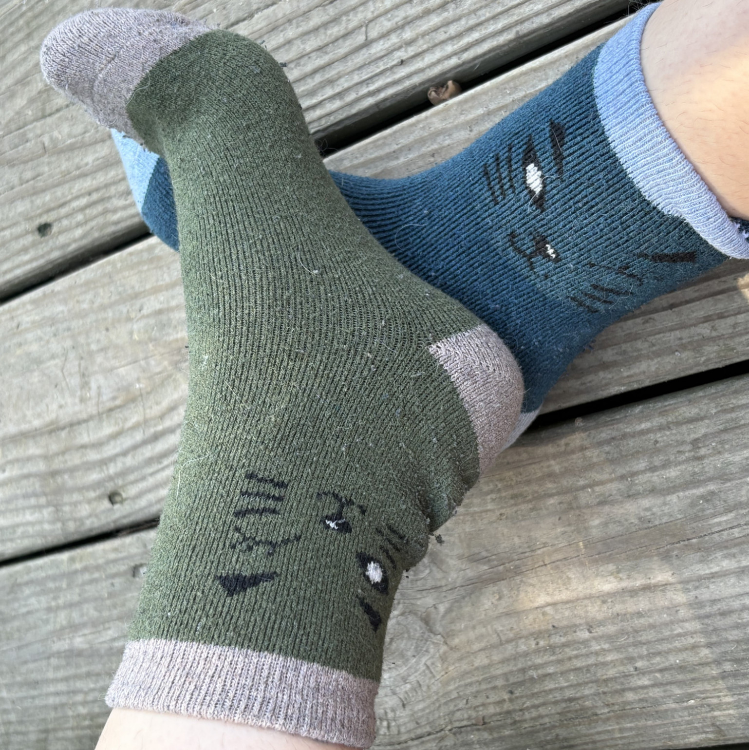 well worn cat socks