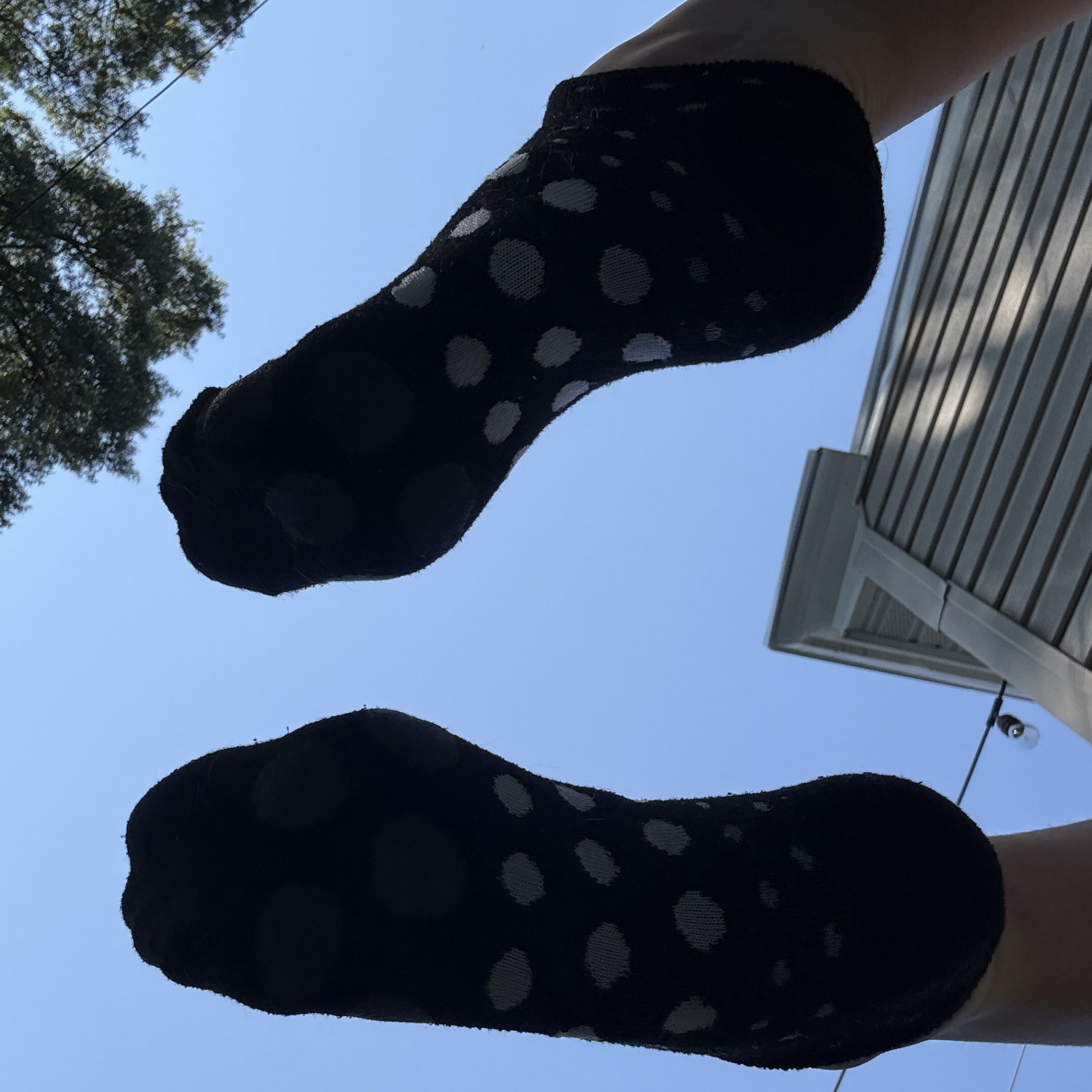 polka dot ankle socks