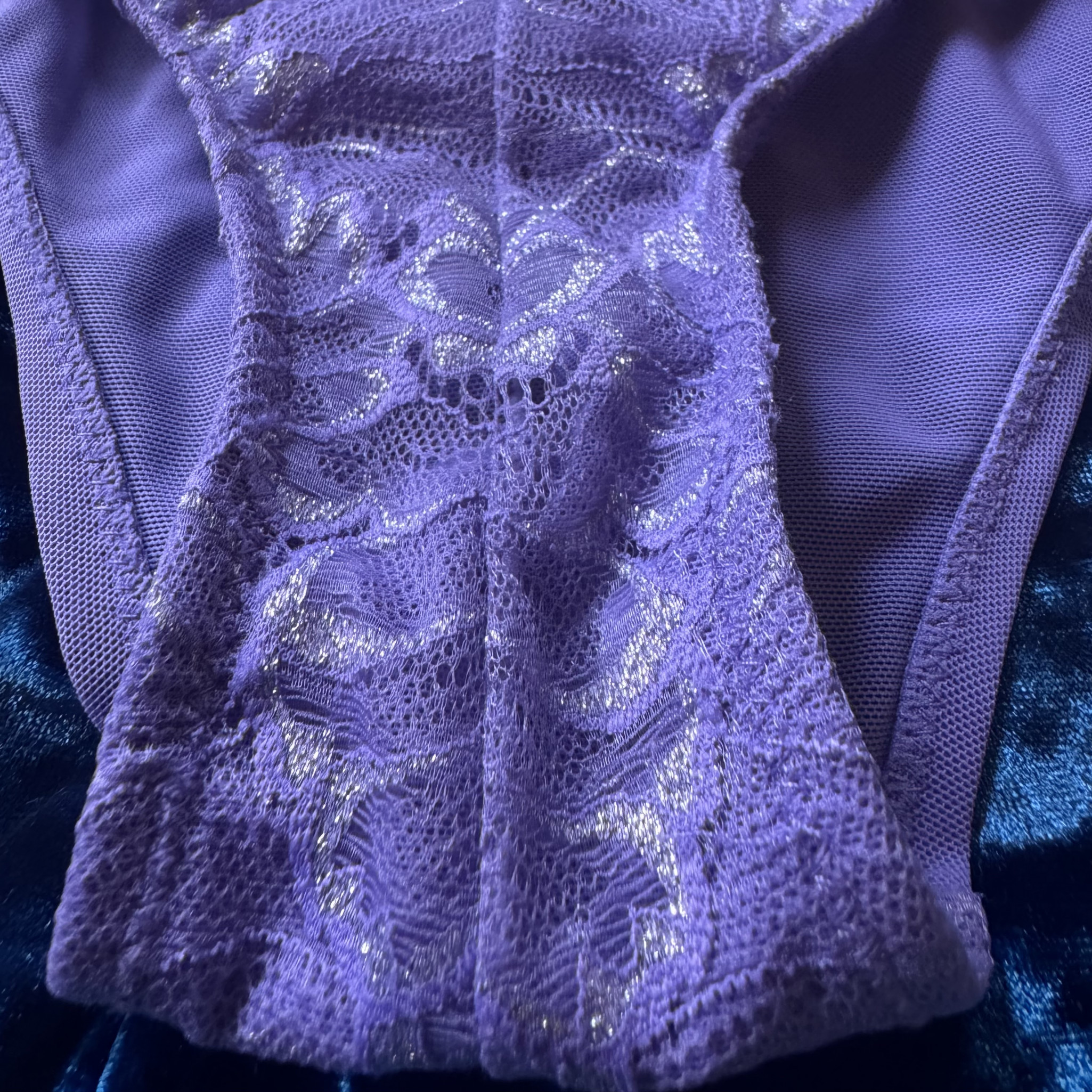 Purple Scalloped Lace Mesh Briefs