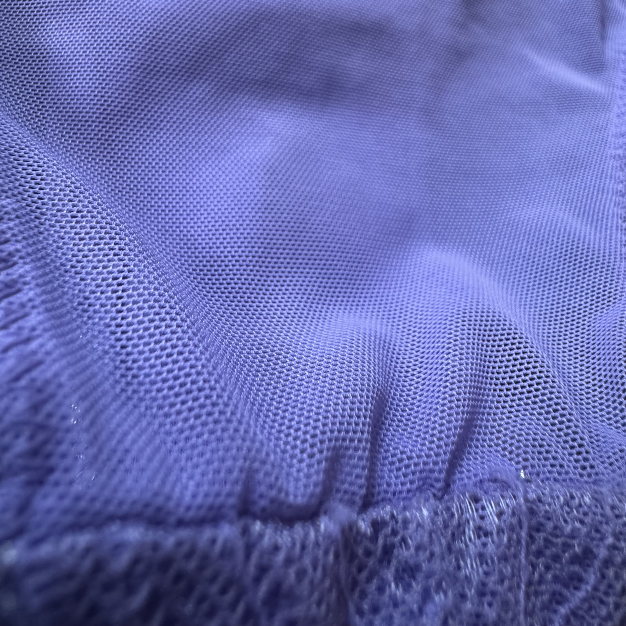 Purple Scalloped Lace Mesh Briefs
