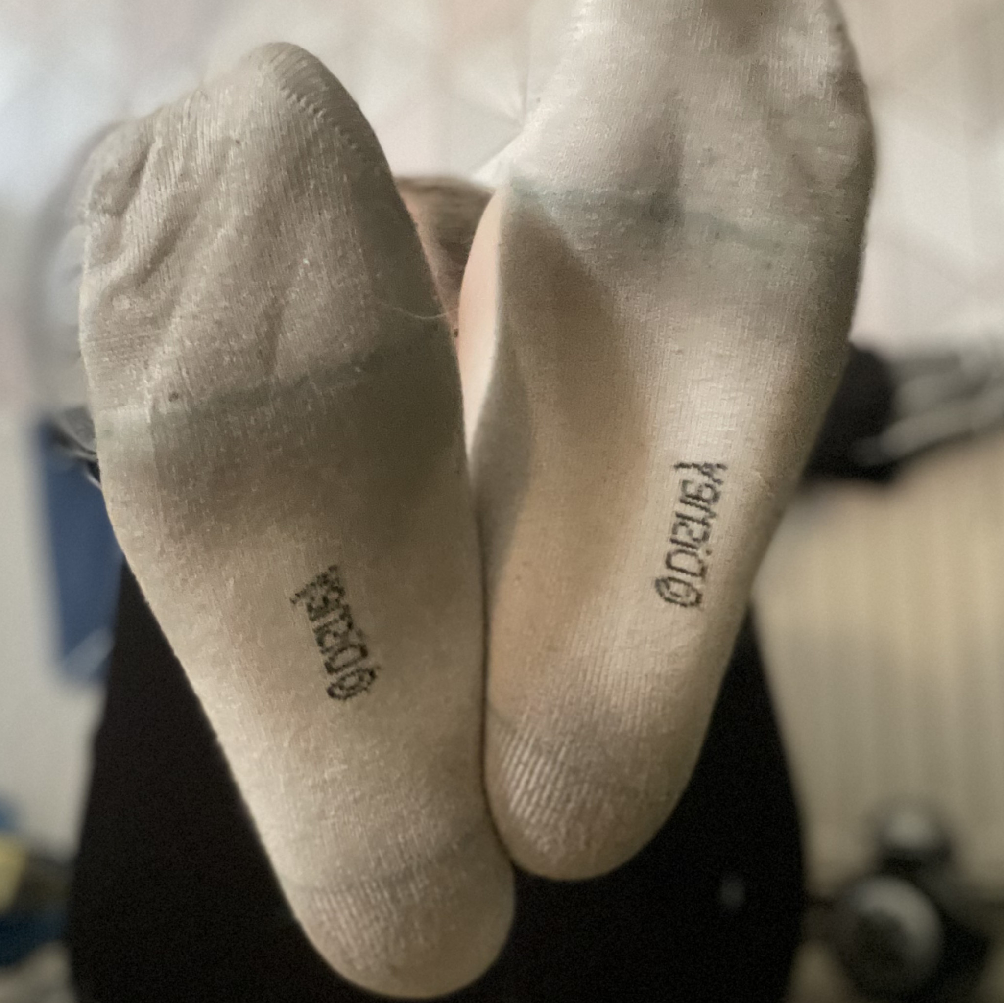 Filthy festival crew socks