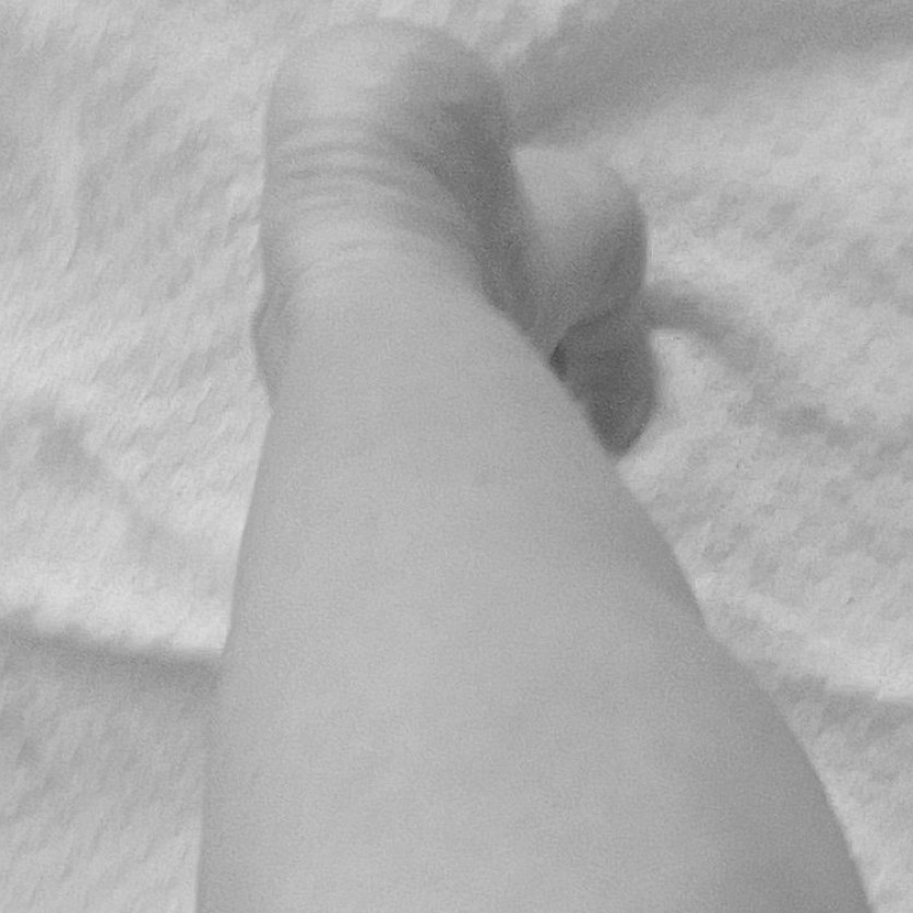 Several black and white pictures