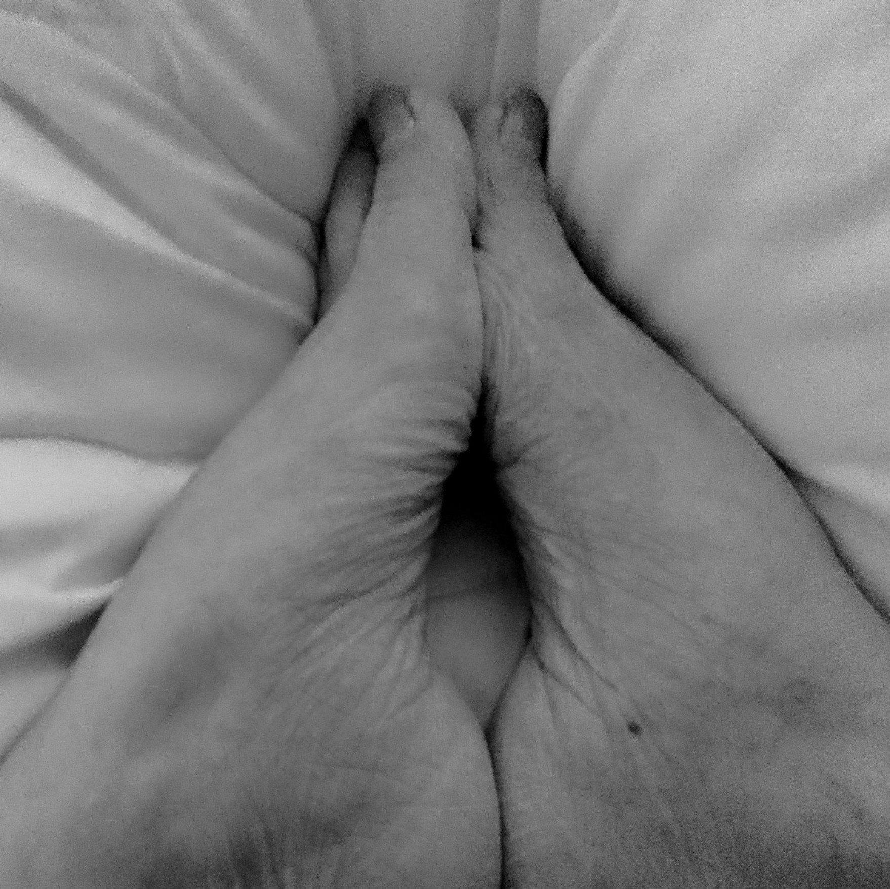 Several black and white pictures