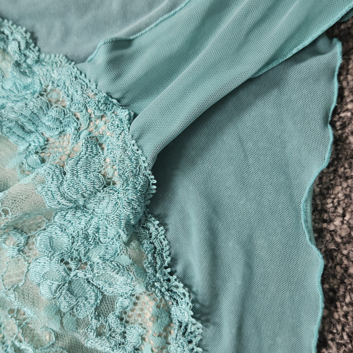 Sexy lace and sheer panties