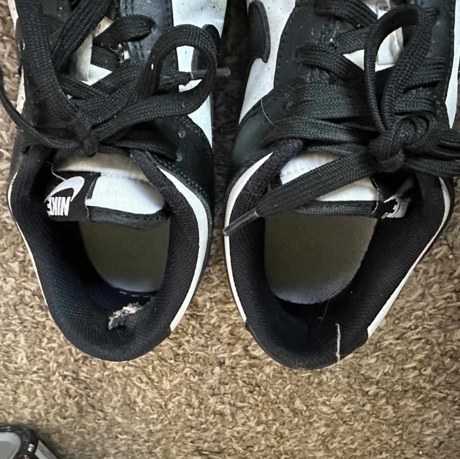 stinky air dunks