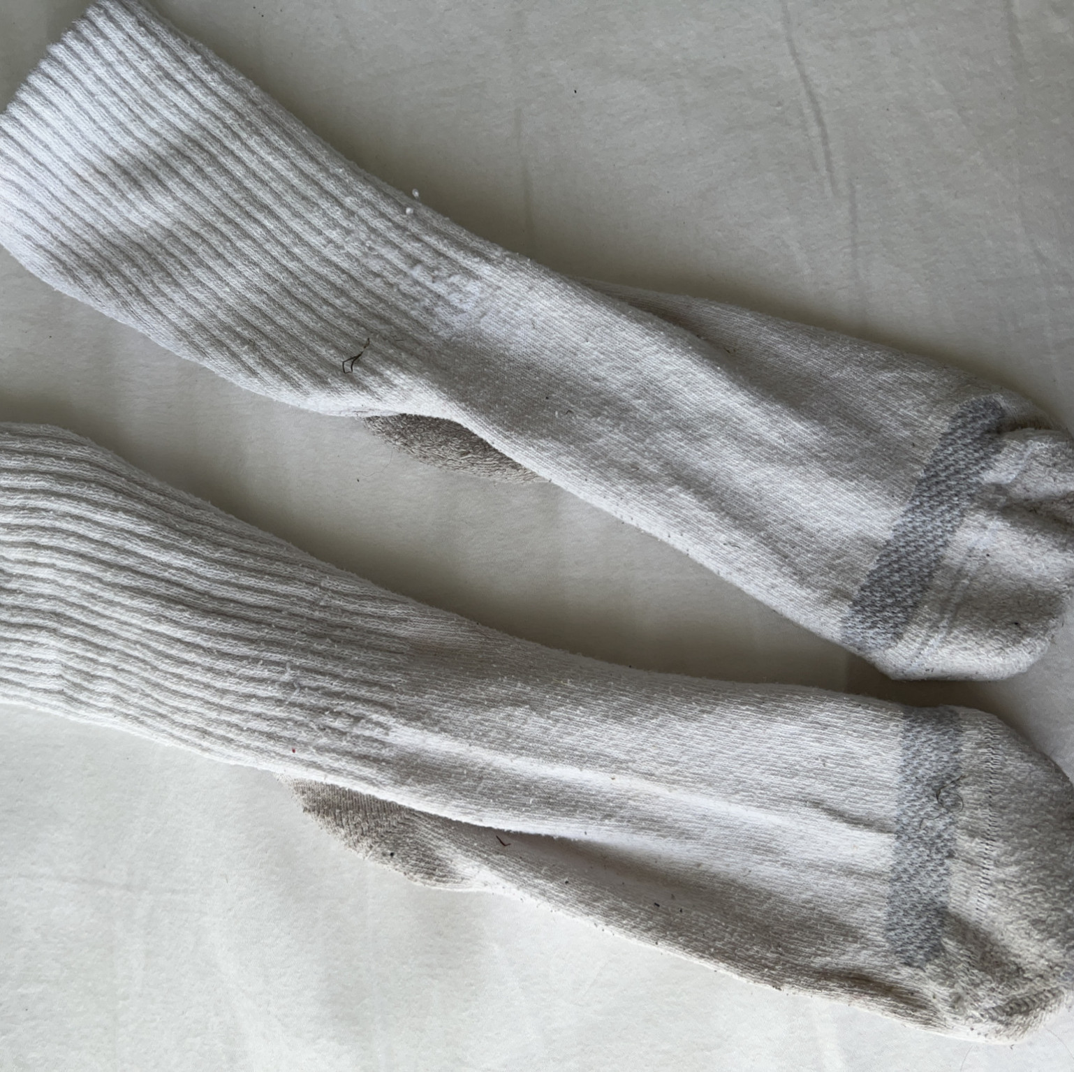 Skylar Snows Sweaty Gym Socks