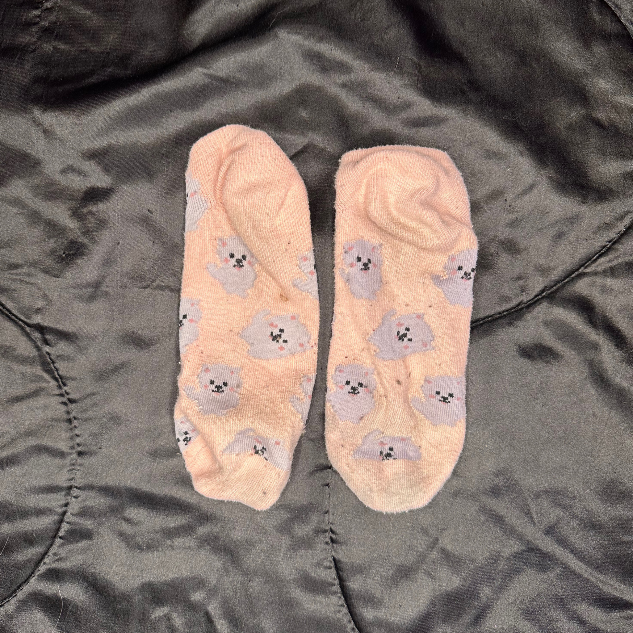Peach doggy socks