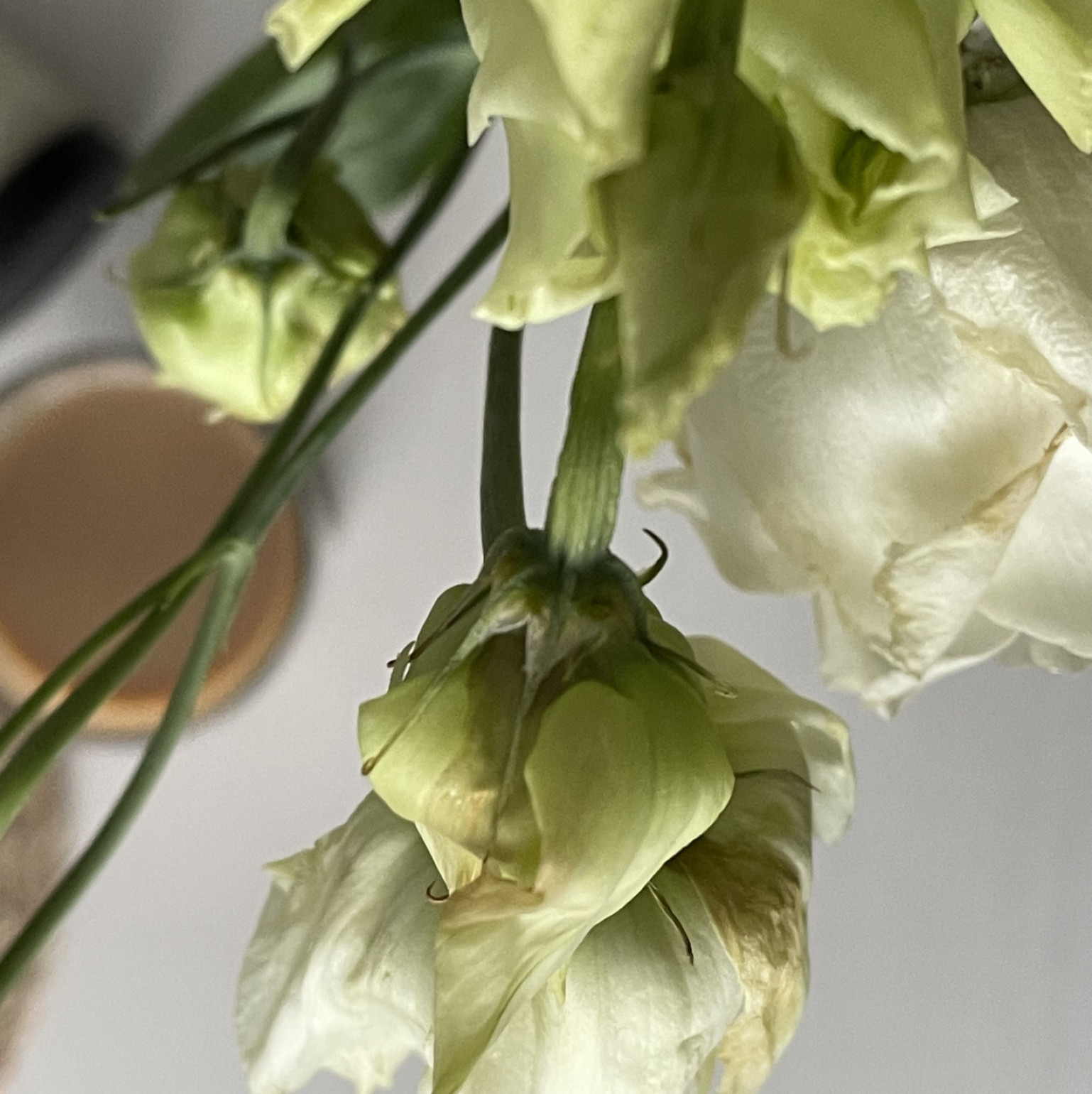 Spoil me with a beautiful bouquet