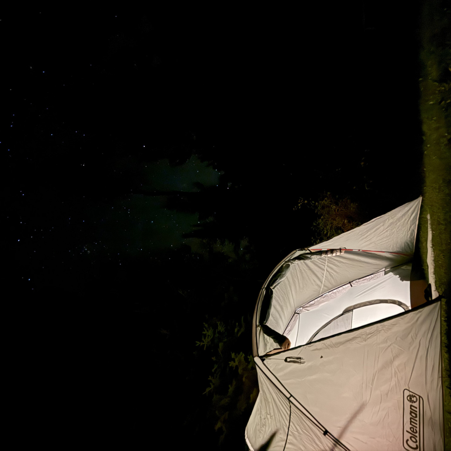 My recent nature photography