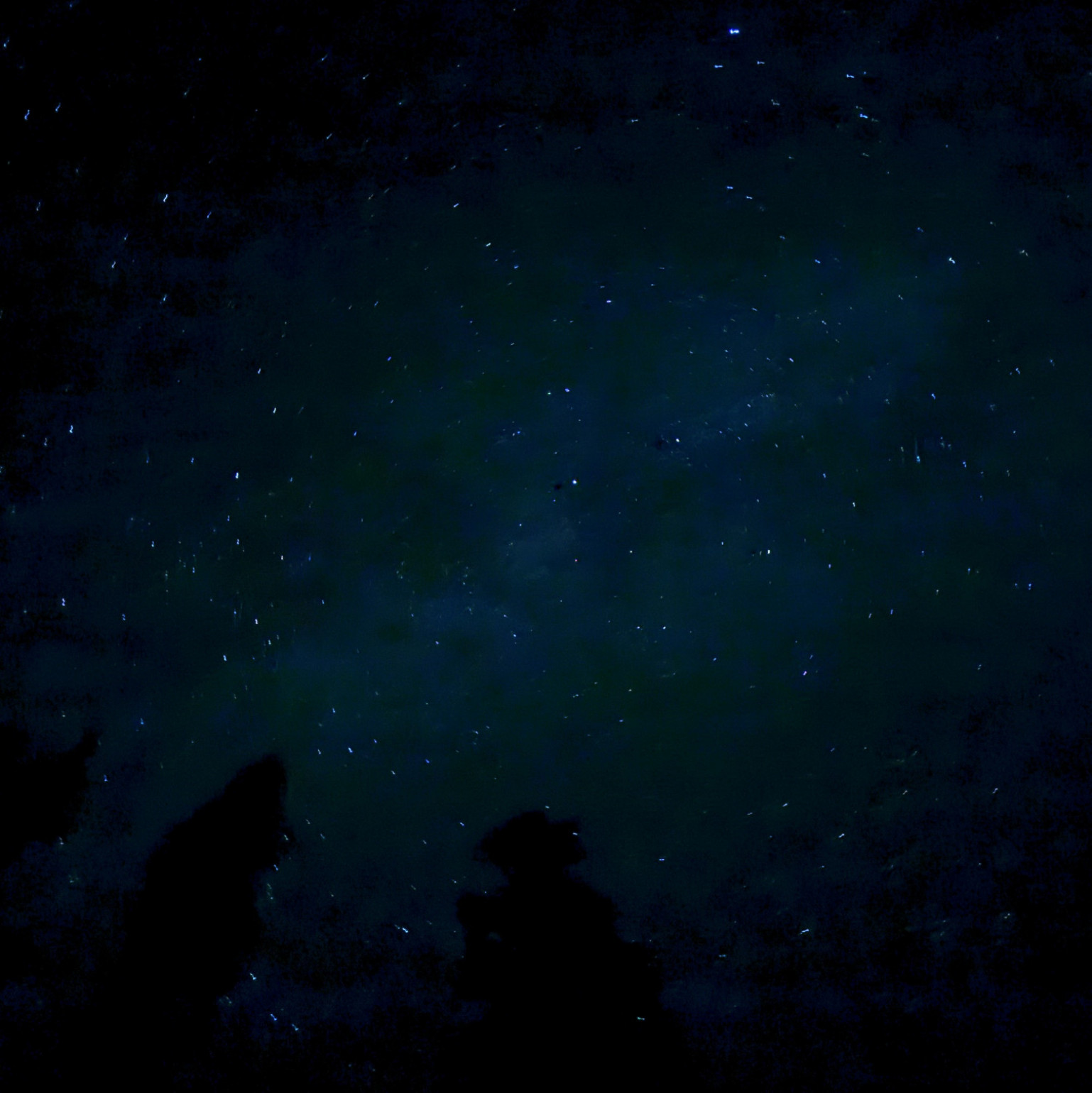 My recent nature photography