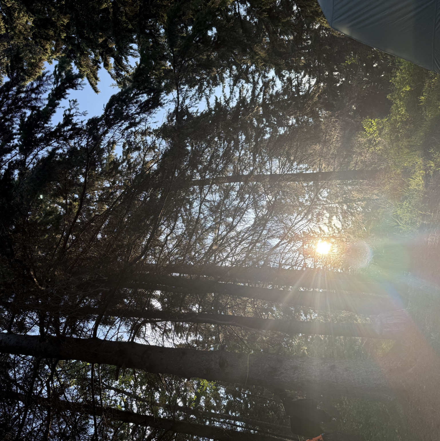 My recent nature photography