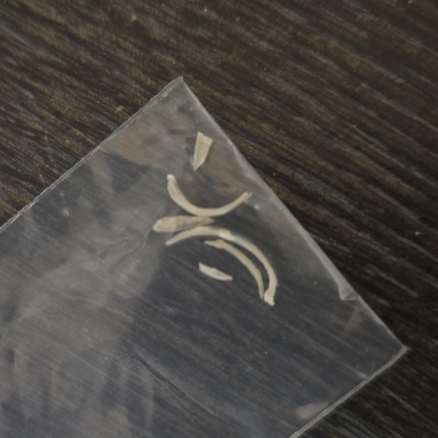 Toenail clippings