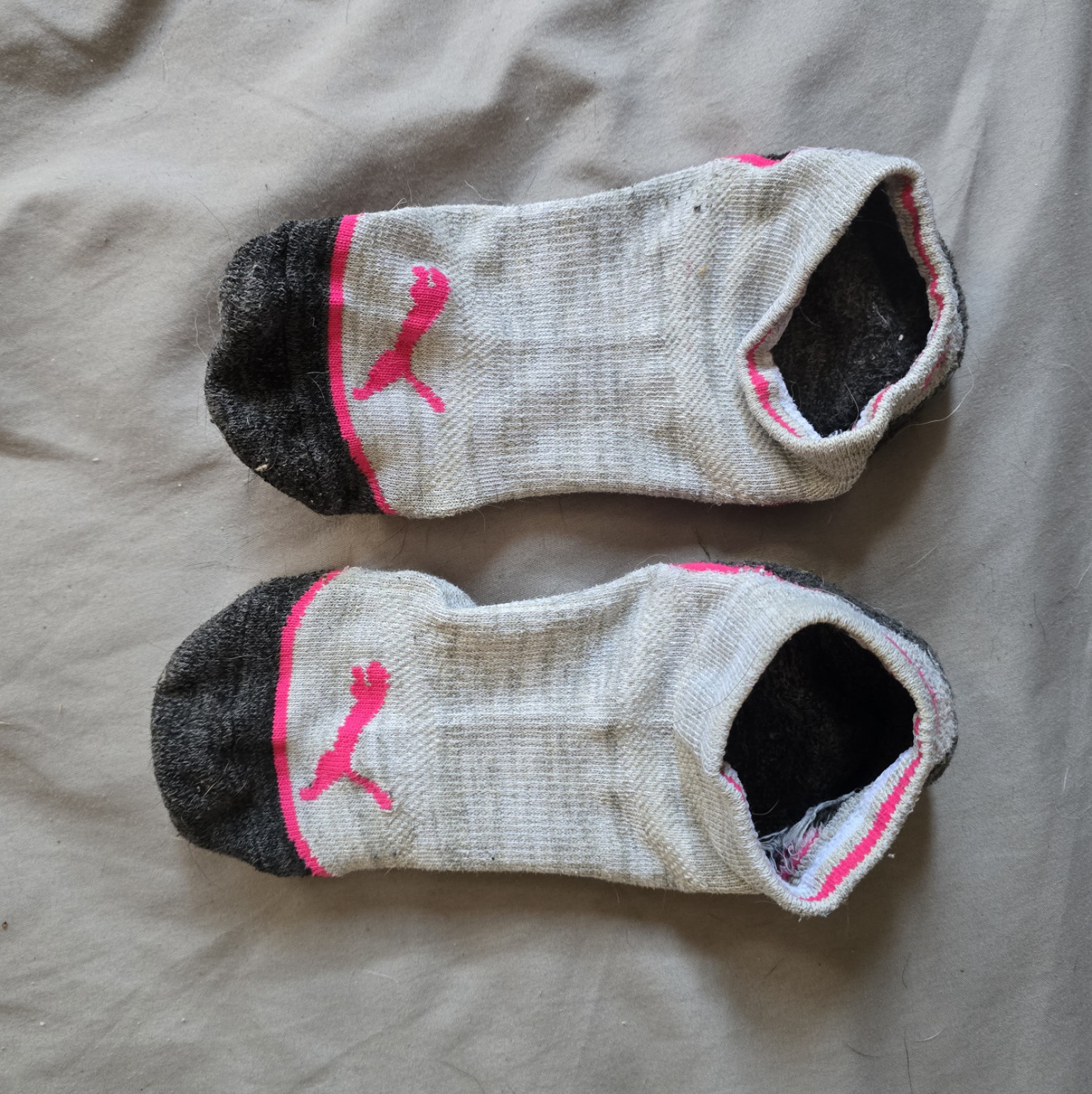 Womens light grey puma socks