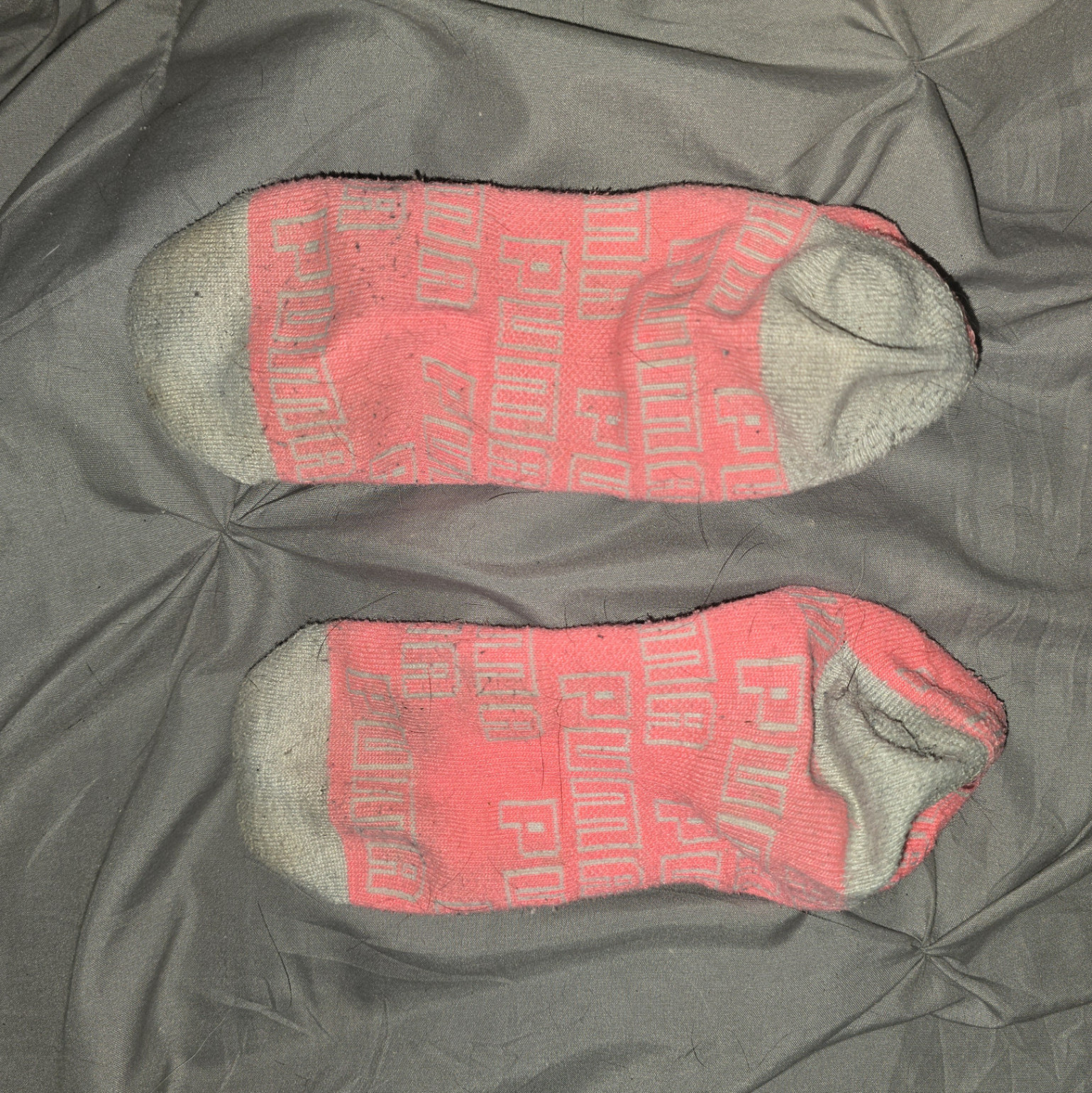 Pink puma socks