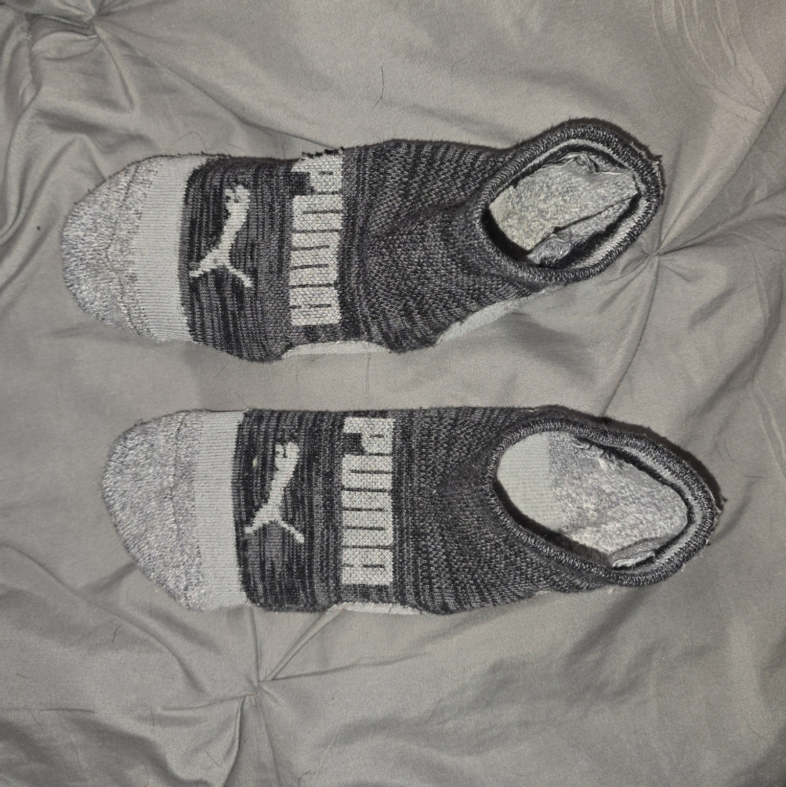 Dark puma teacher socks