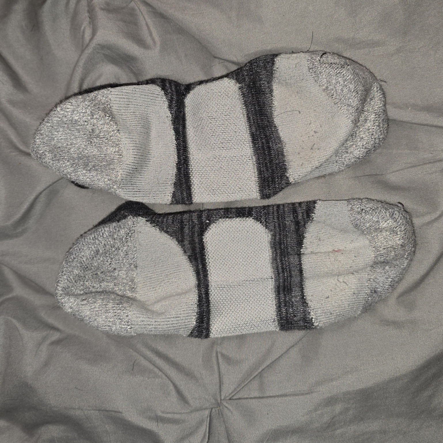 Dark puma teacher socks