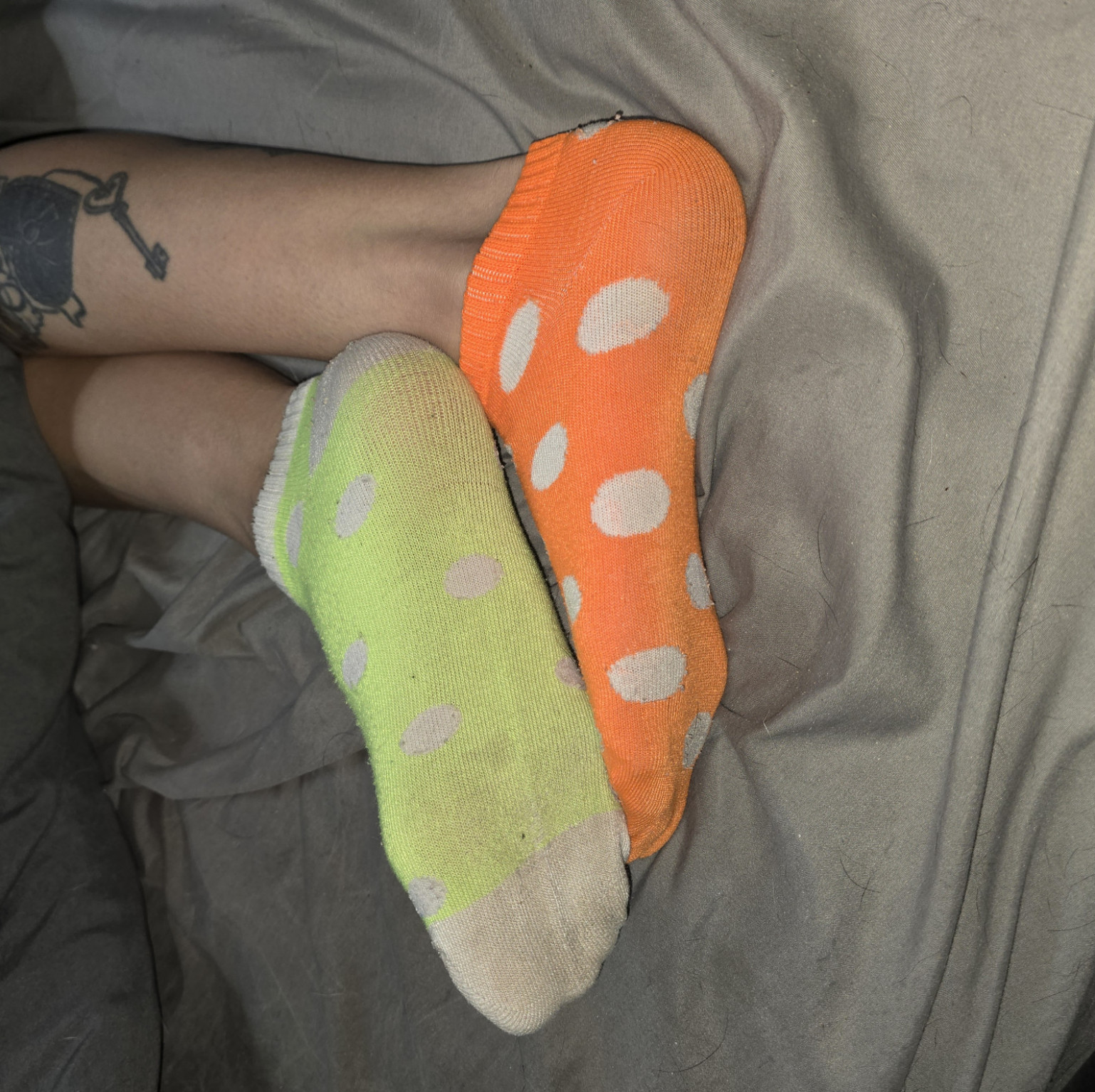 Cute polka dot socks