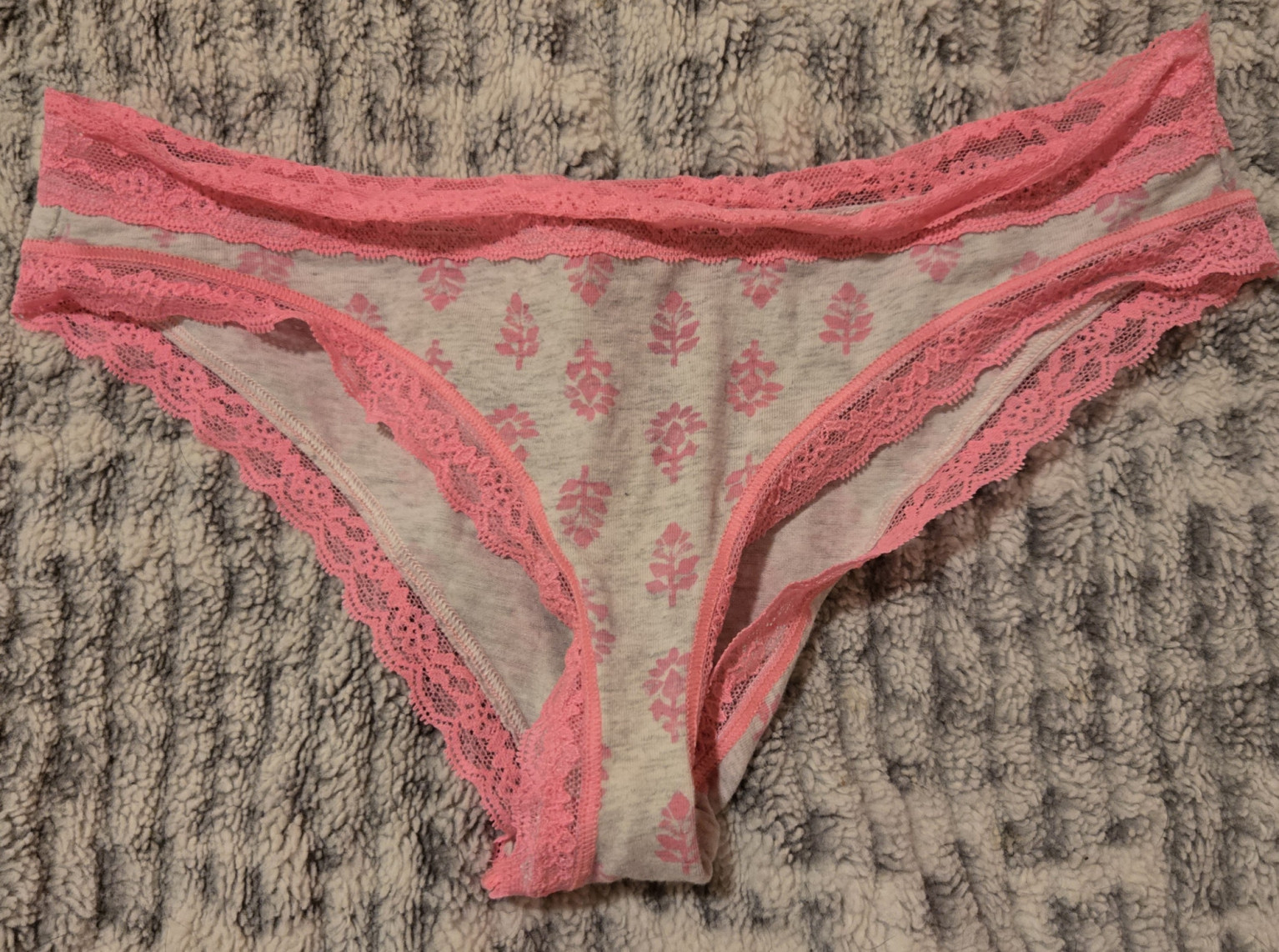 Pink and Gray Panties