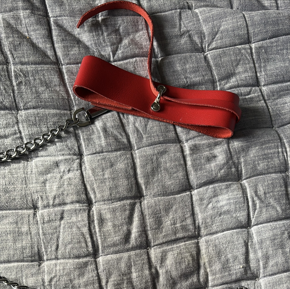Collar and leash