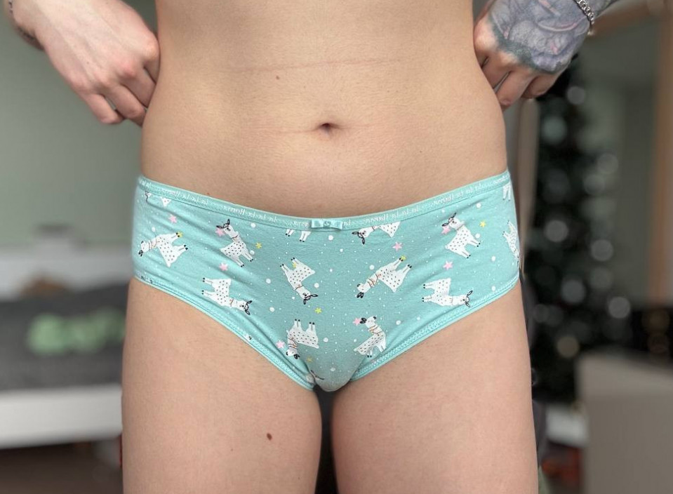 Cute lama hipsters panties