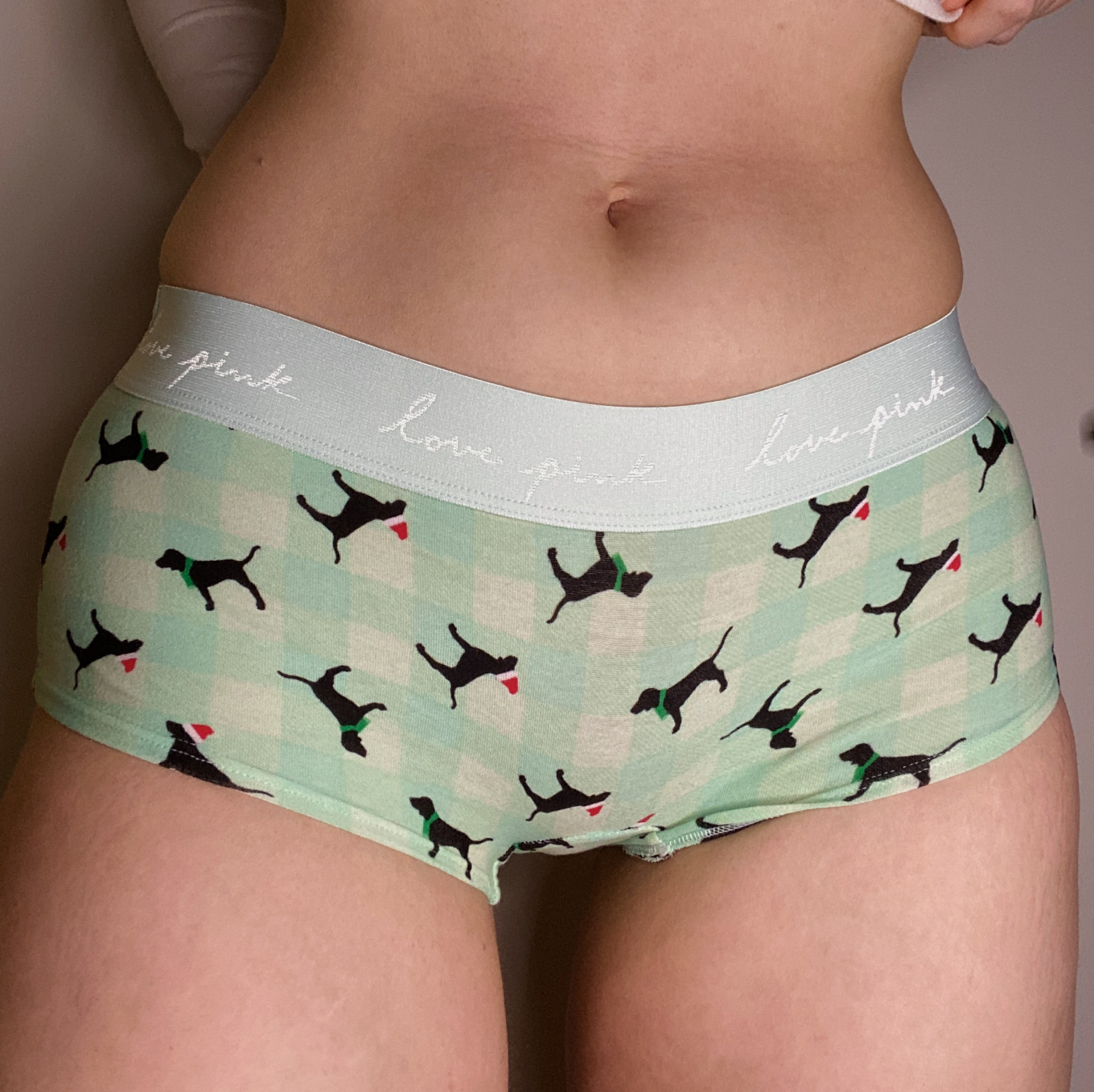 Worn Mint Holiday Boyshorts