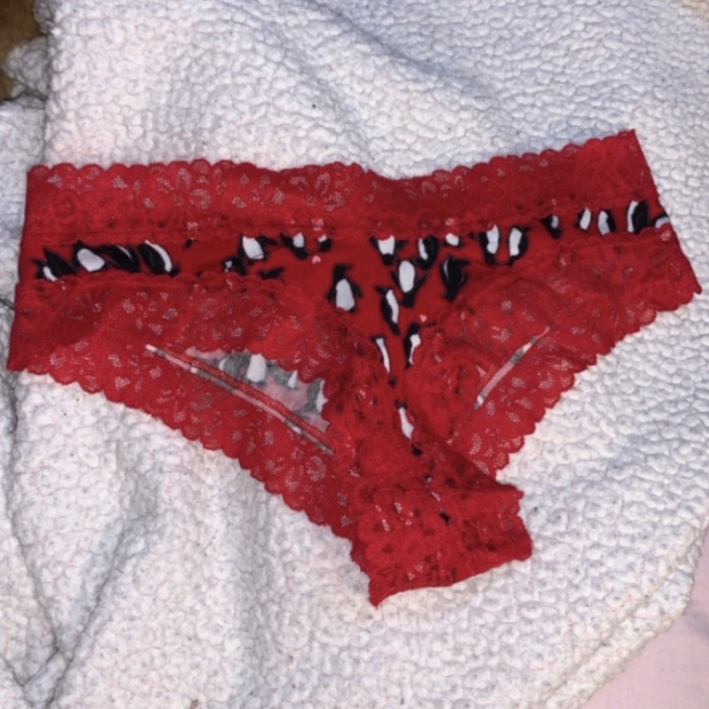 Festive Holiday Underwear With Lace