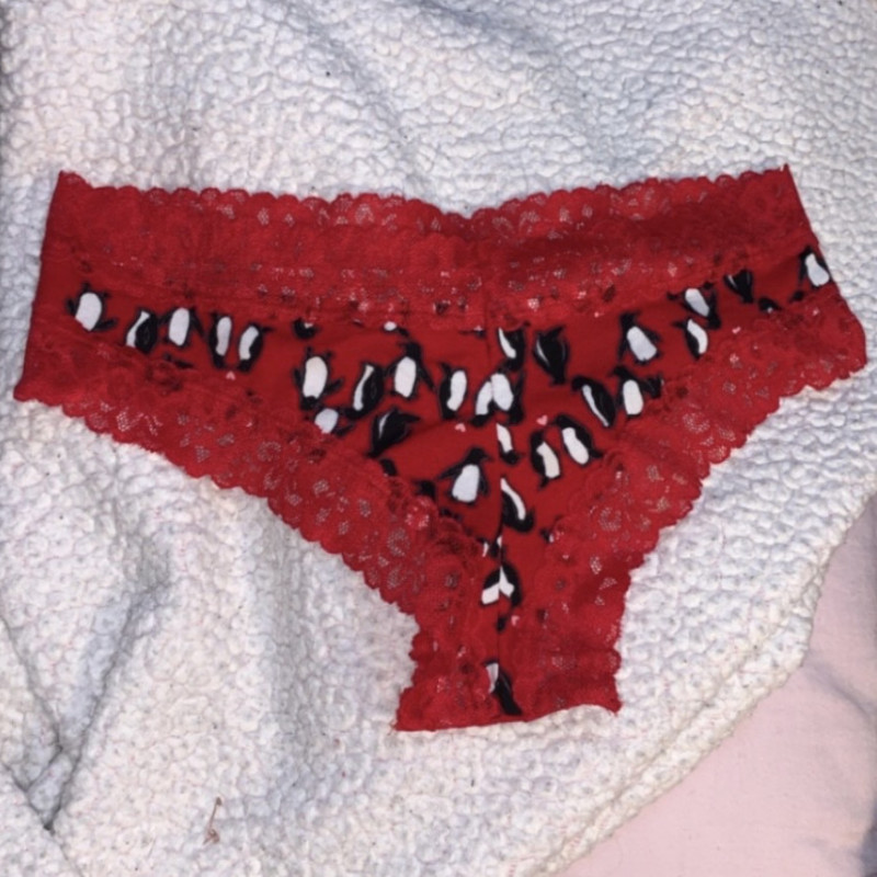 Festive Holiday Underwear With Lace