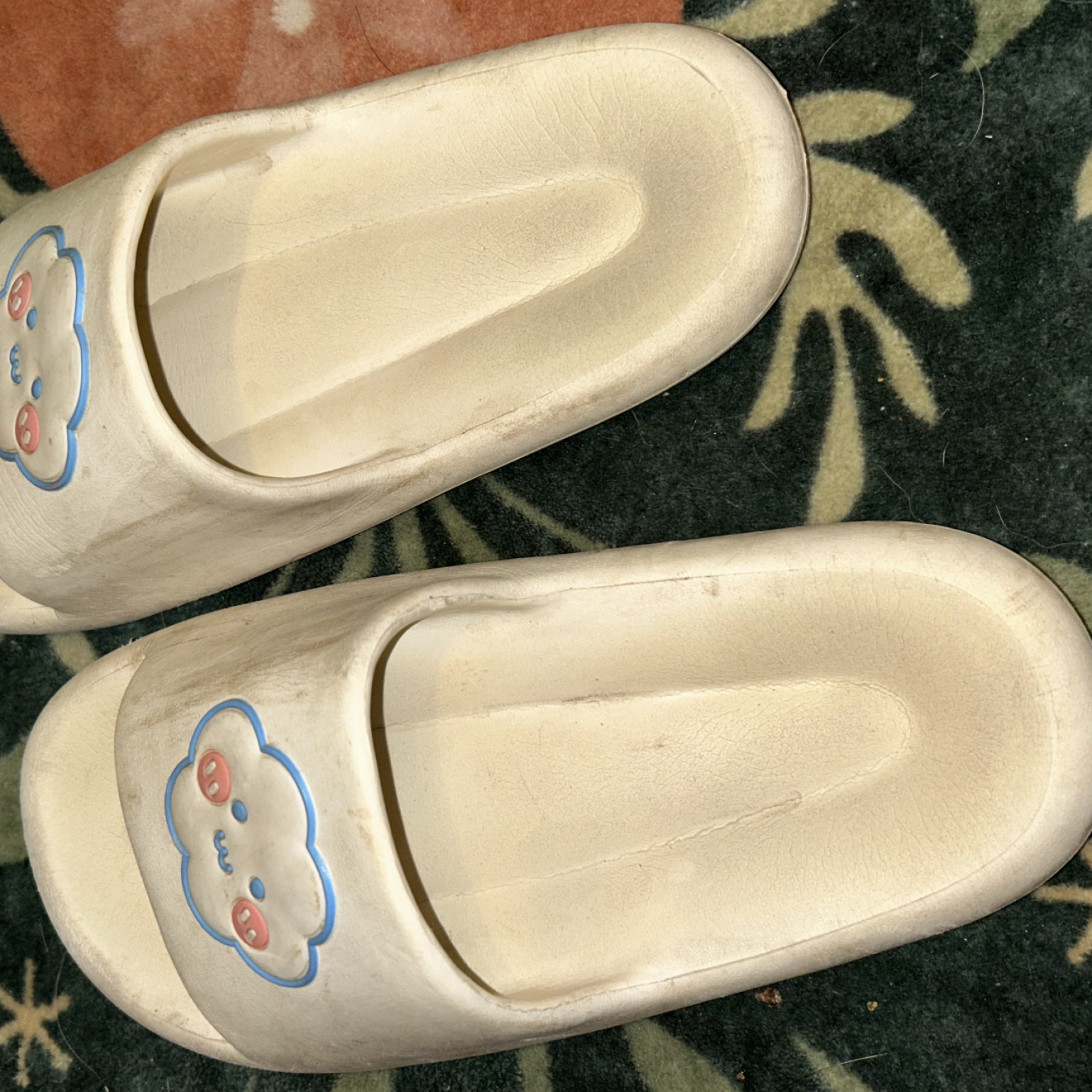 Worn Slides