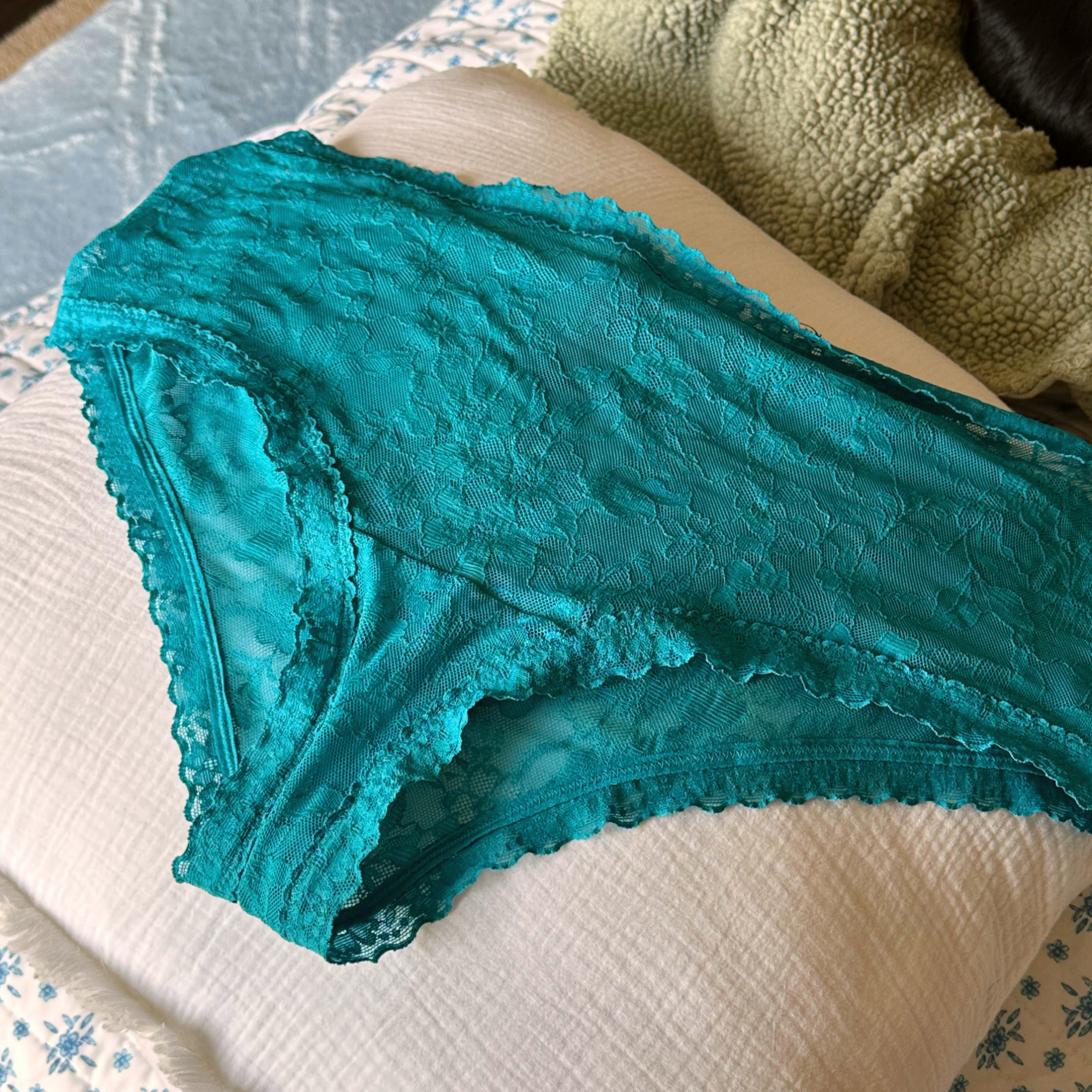 Cheeky teal lace panty