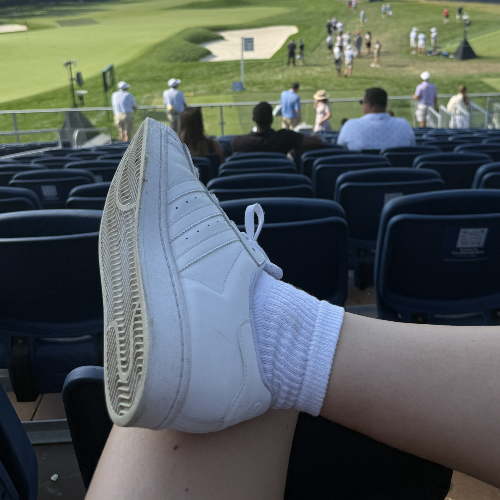 white adidas shell toes