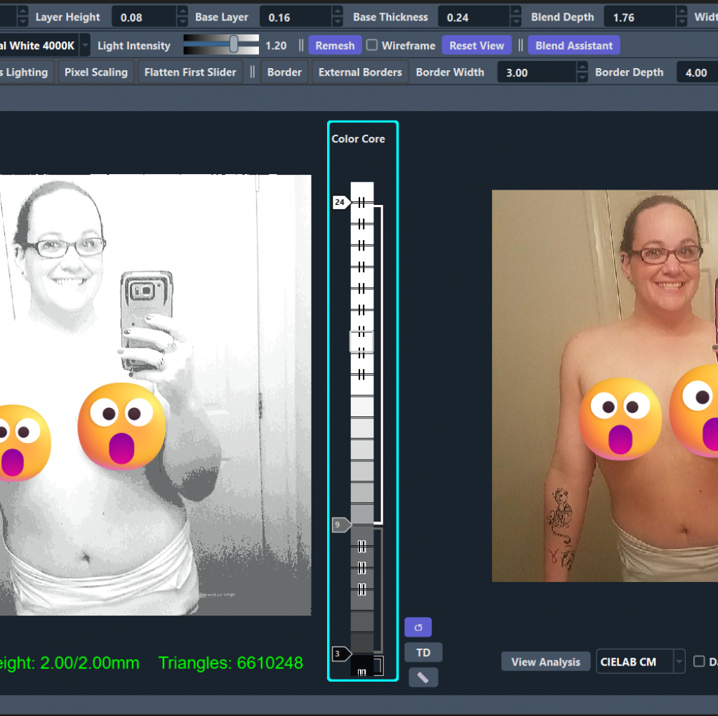 LTD 3D Portrait: Topless Selfie 1:25 Signed