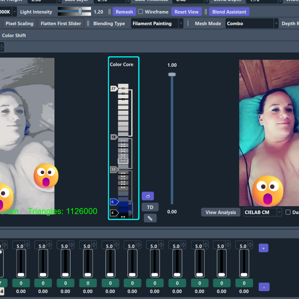 LTD 3D Portrait: Bedroom Selfie 1:25 Signed