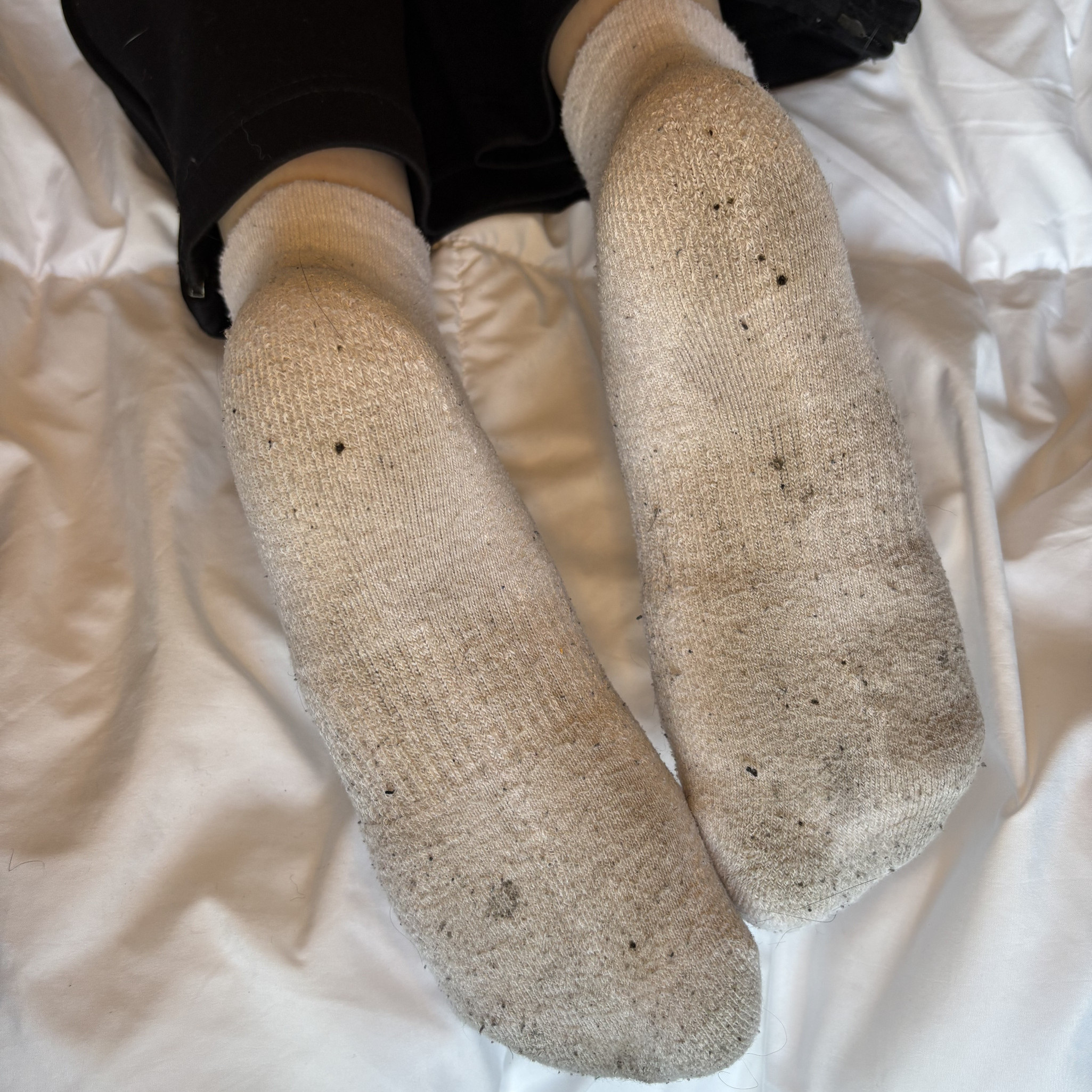 Disgusting Ankle Socks