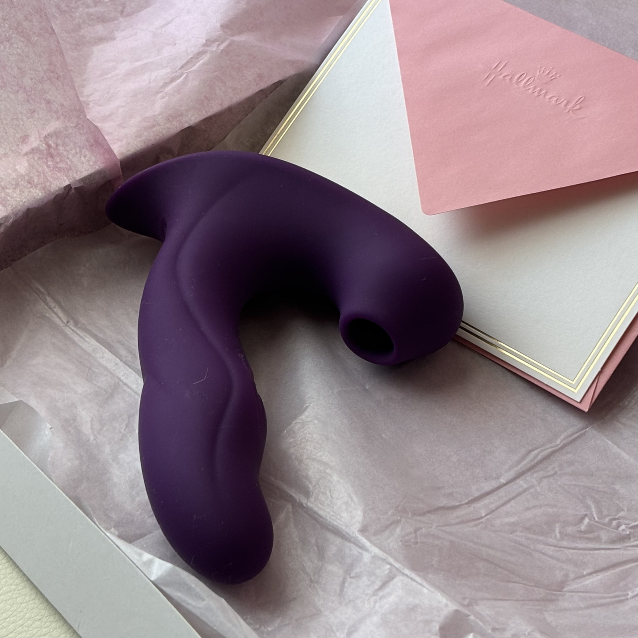 Used Sex Toy Plug and Sucker Panty Vibe