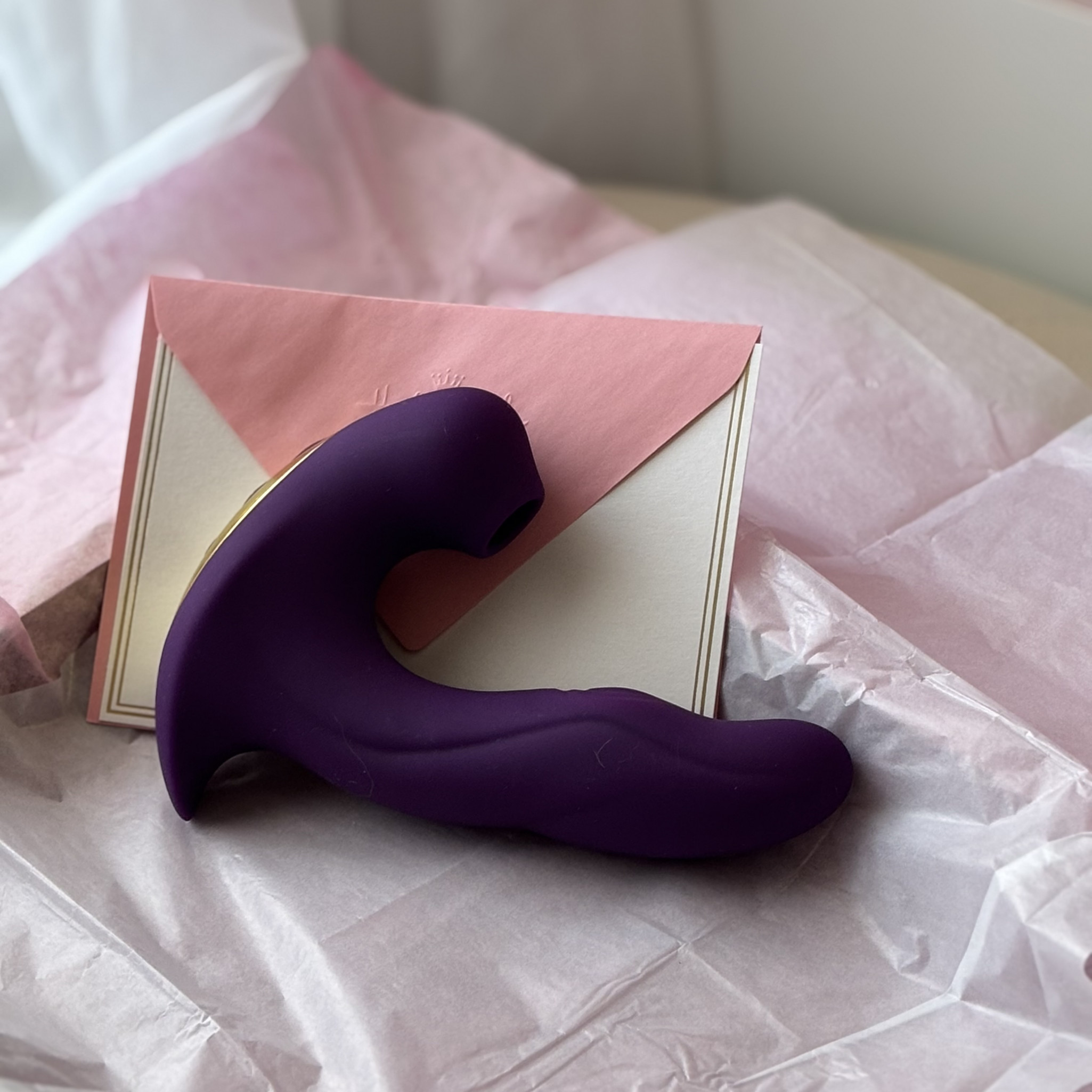 Used Sex Toy Plug and Sucker Panty Vibe