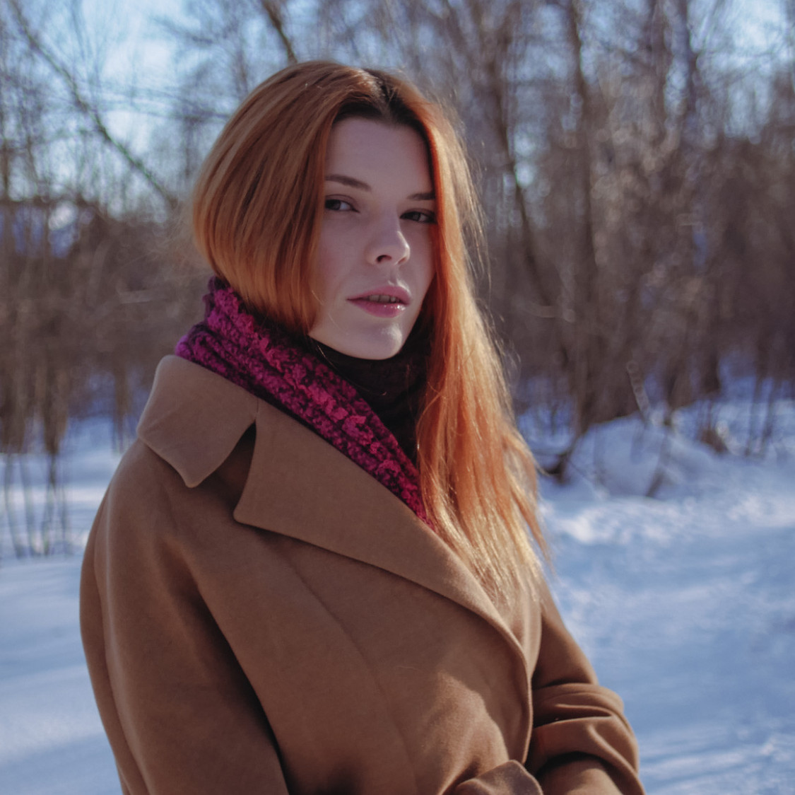 Winter forest walking