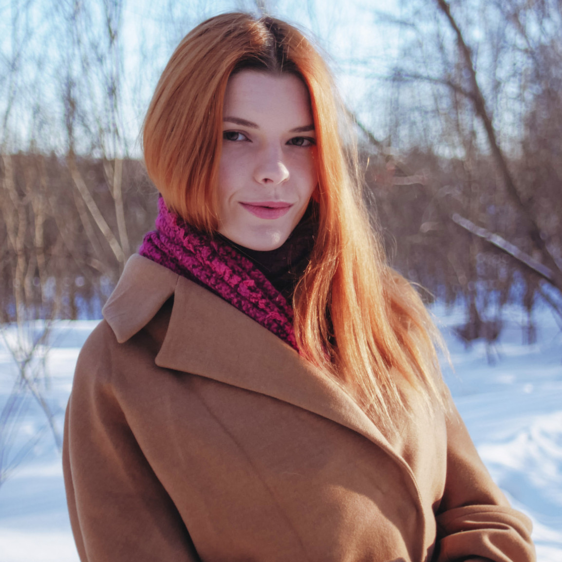 Winter forest walking