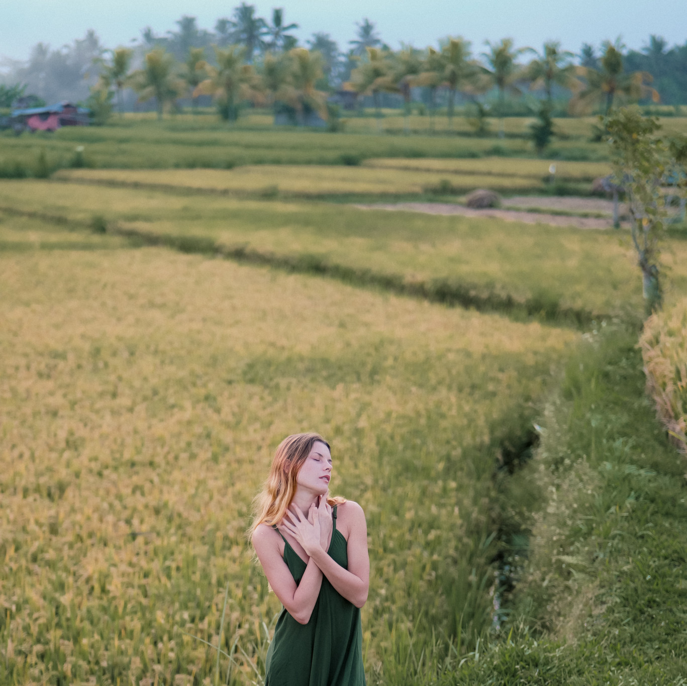 Rice terrace photoset