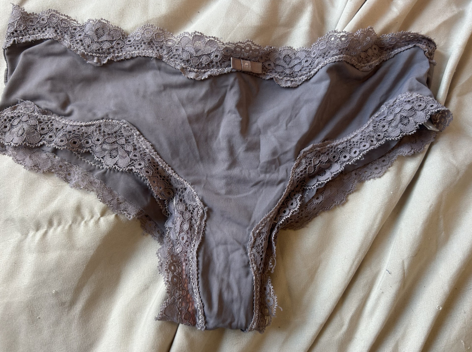 Grey brown brazilian briefs