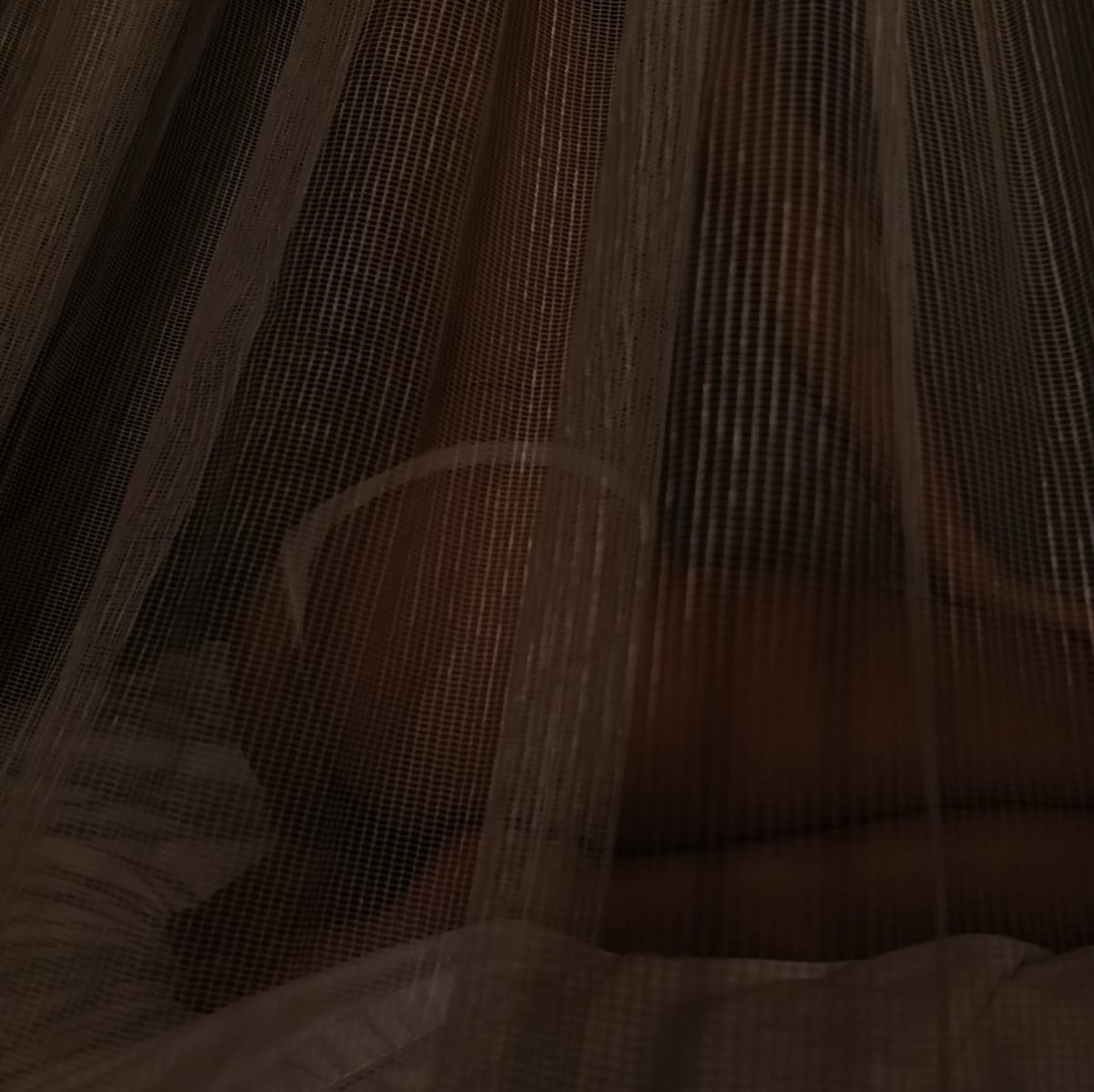 sensual night