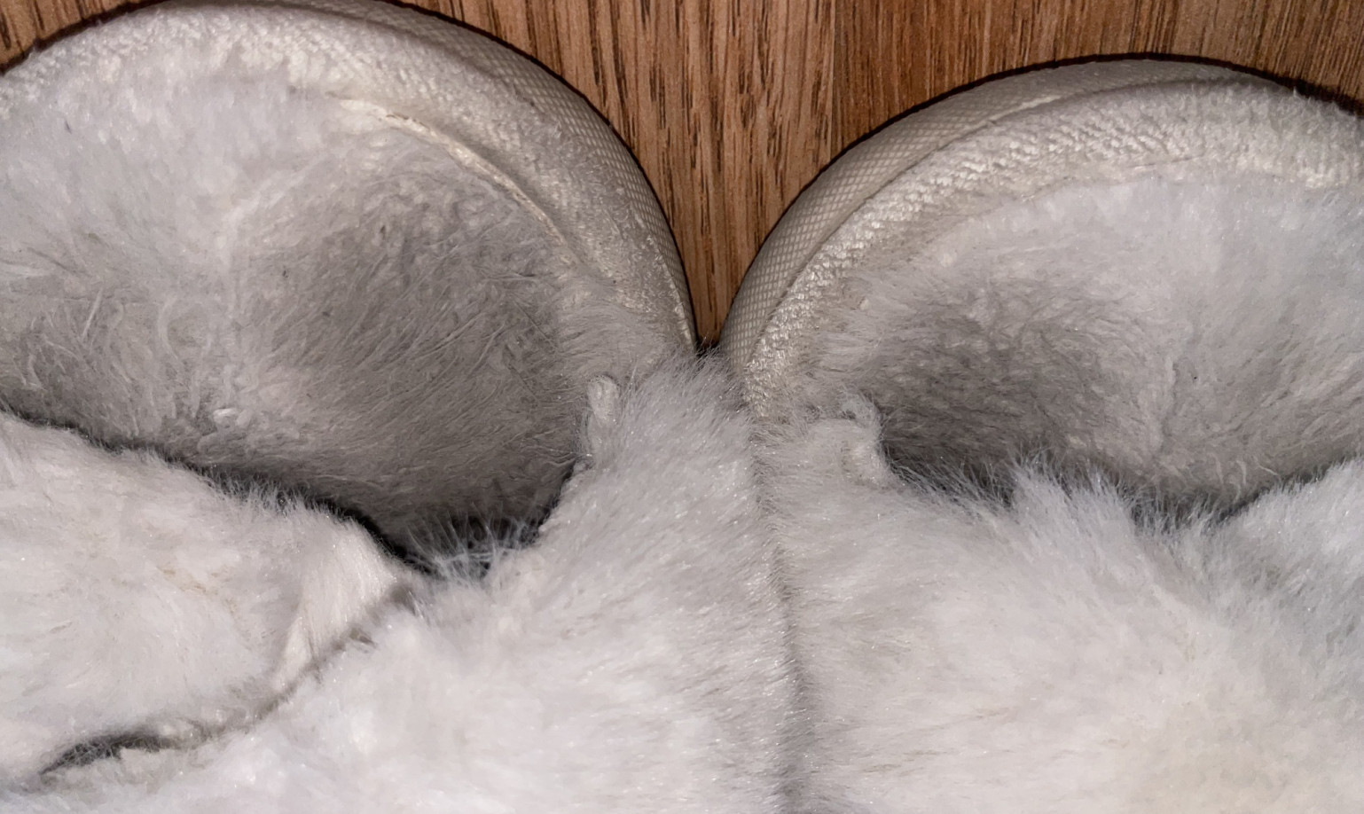 Jammy stank Slippers