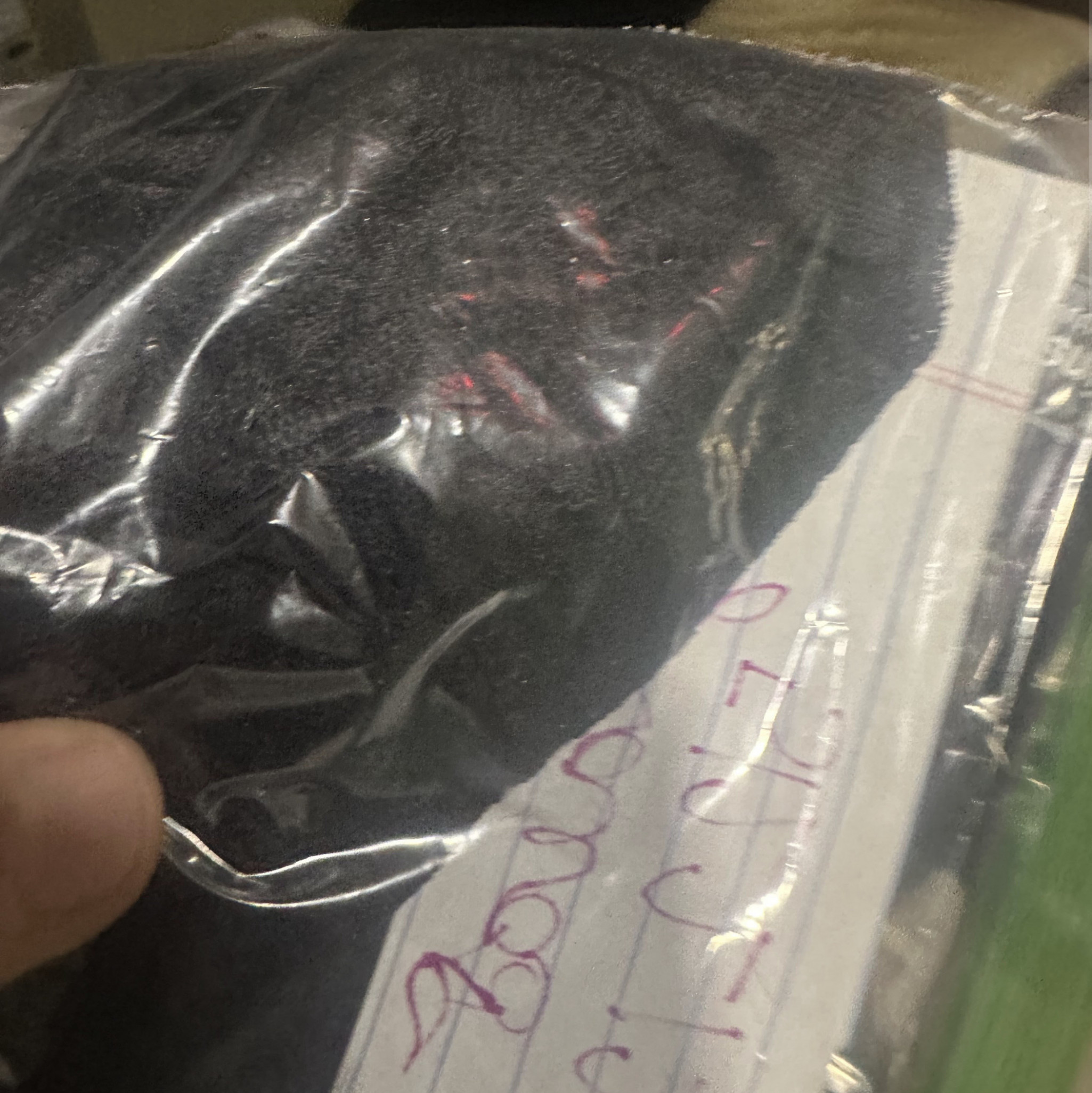 Signed Sunrae_Fae Black Lace Panty Polaroid Bundle