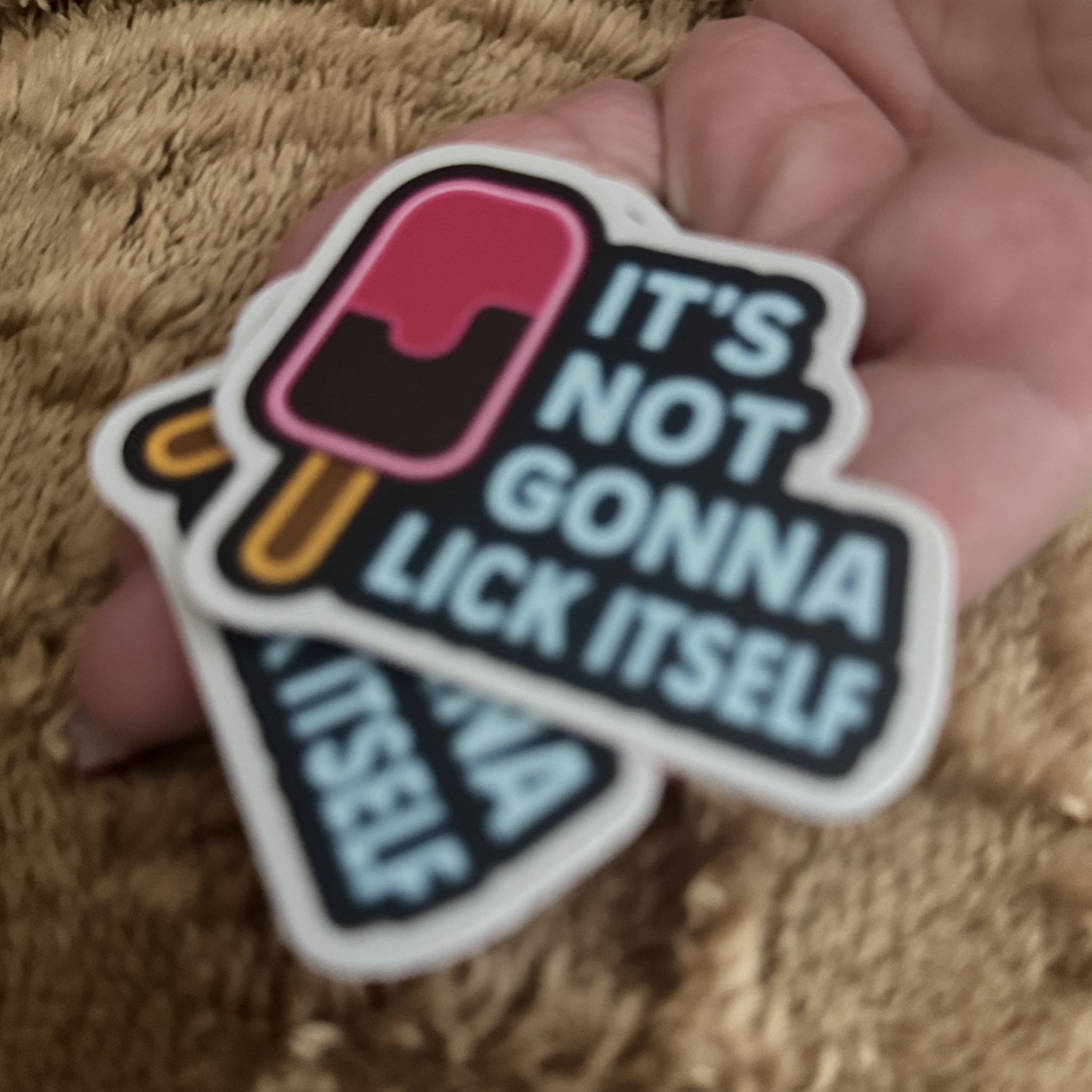 Its not going to lick itself decal