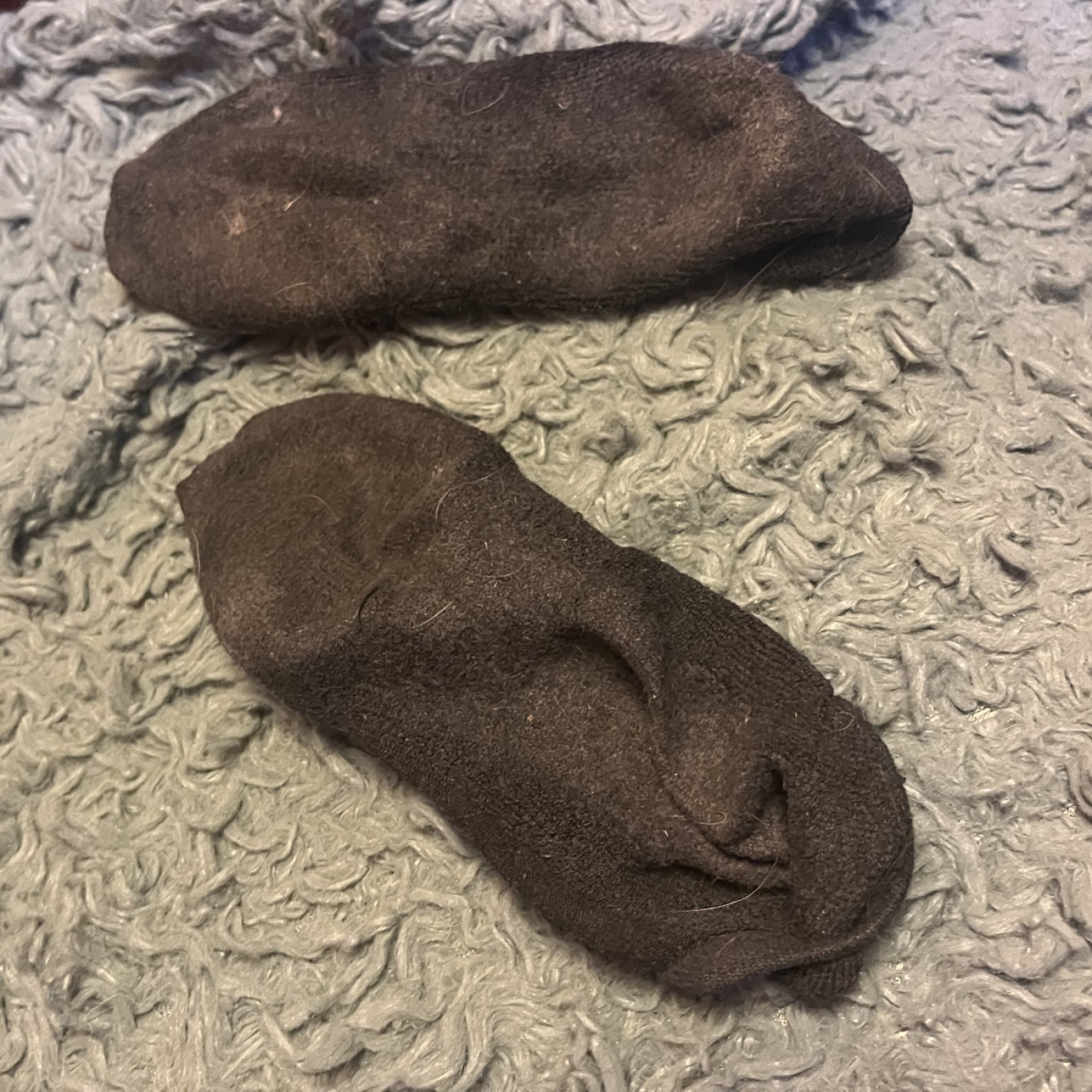 3 Day Old Dirty Socks
