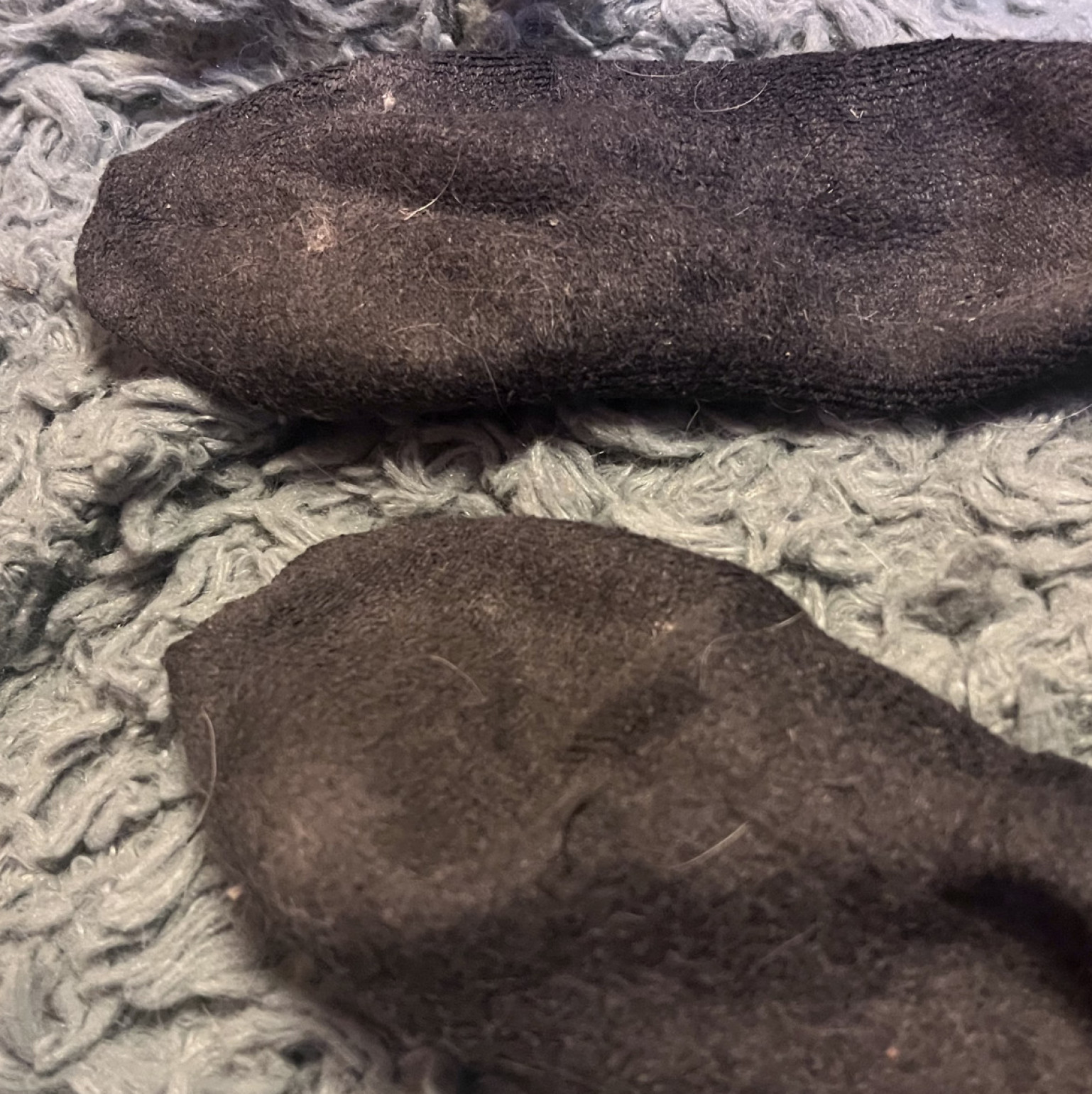 3 Day Old Dirty Socks