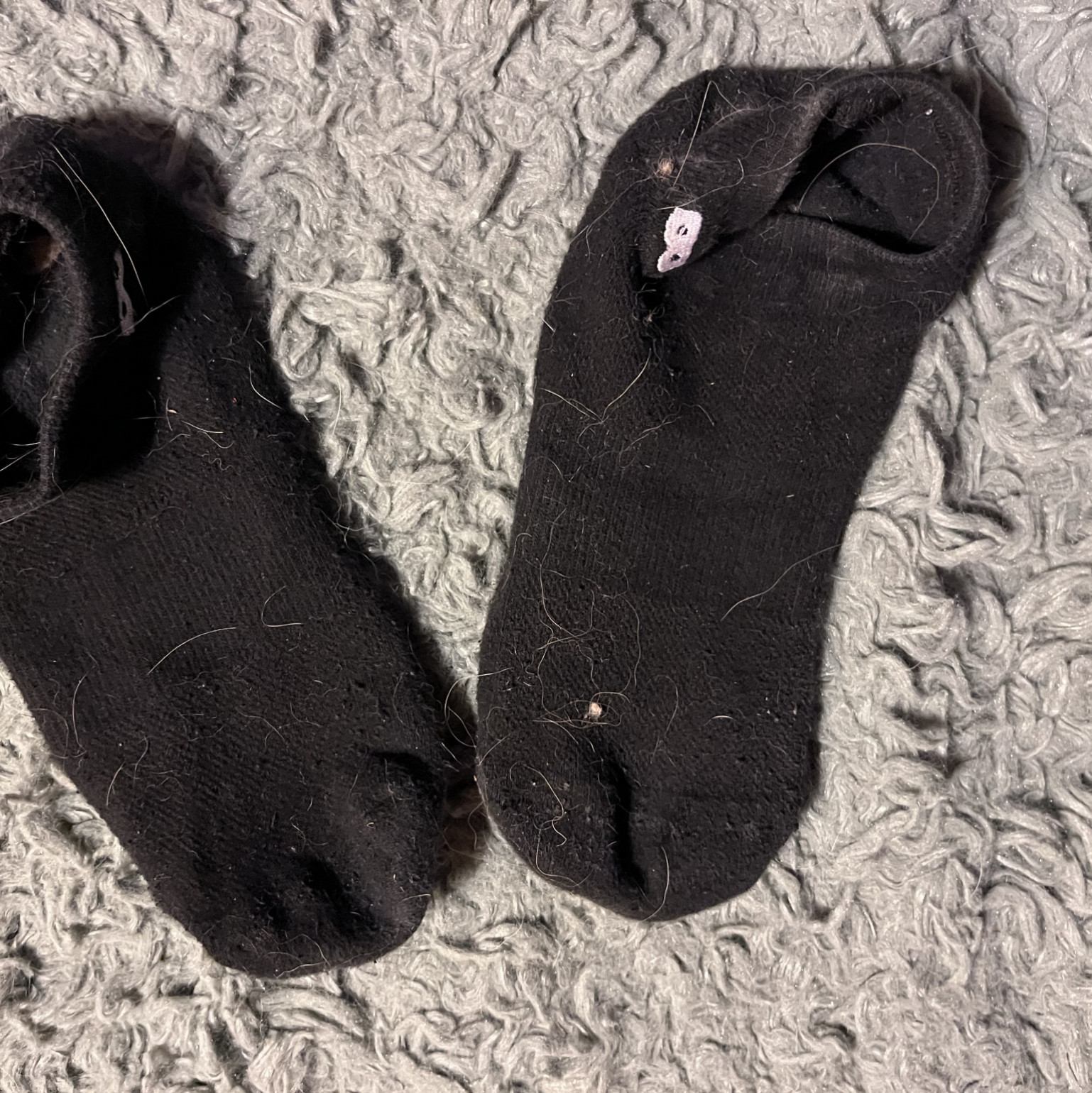 5 Day Old Dirty Gym Socks