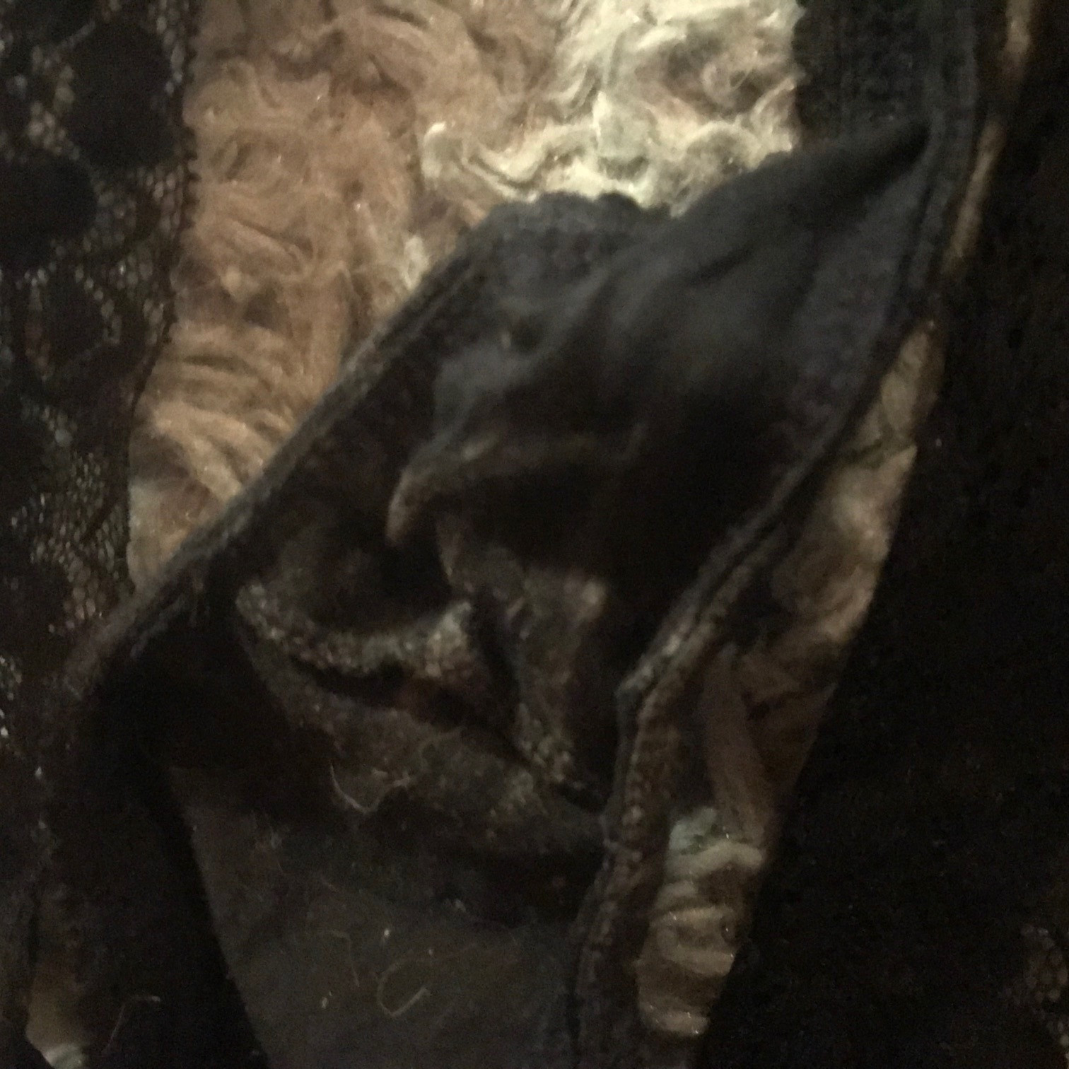 Well Worn Small Black Thong