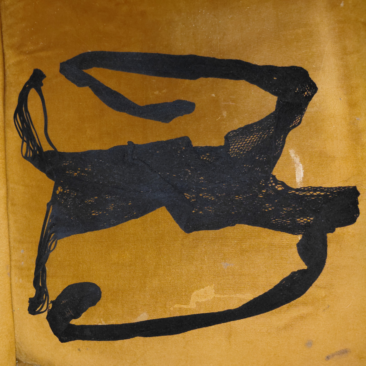 beautiful dark onepiece swimsuit with a crotch opening