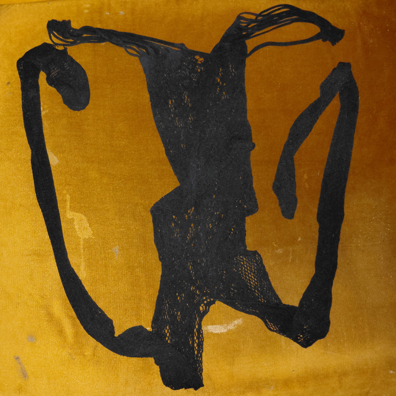 beautiful dark onepiece swimsuit with a crotch opening