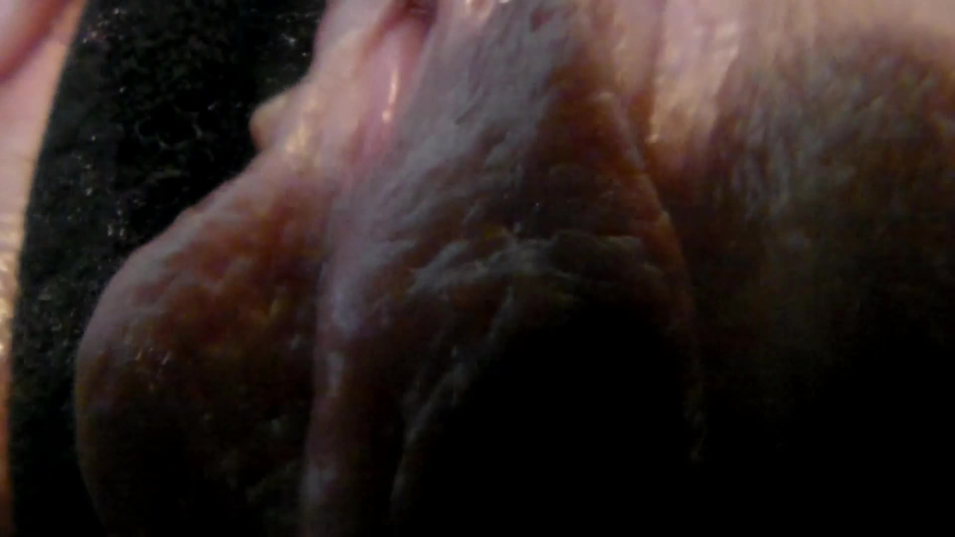 Julia Jordan - PUSSY and NIPPLES RUBBED to the CAM LENS - ManyVids